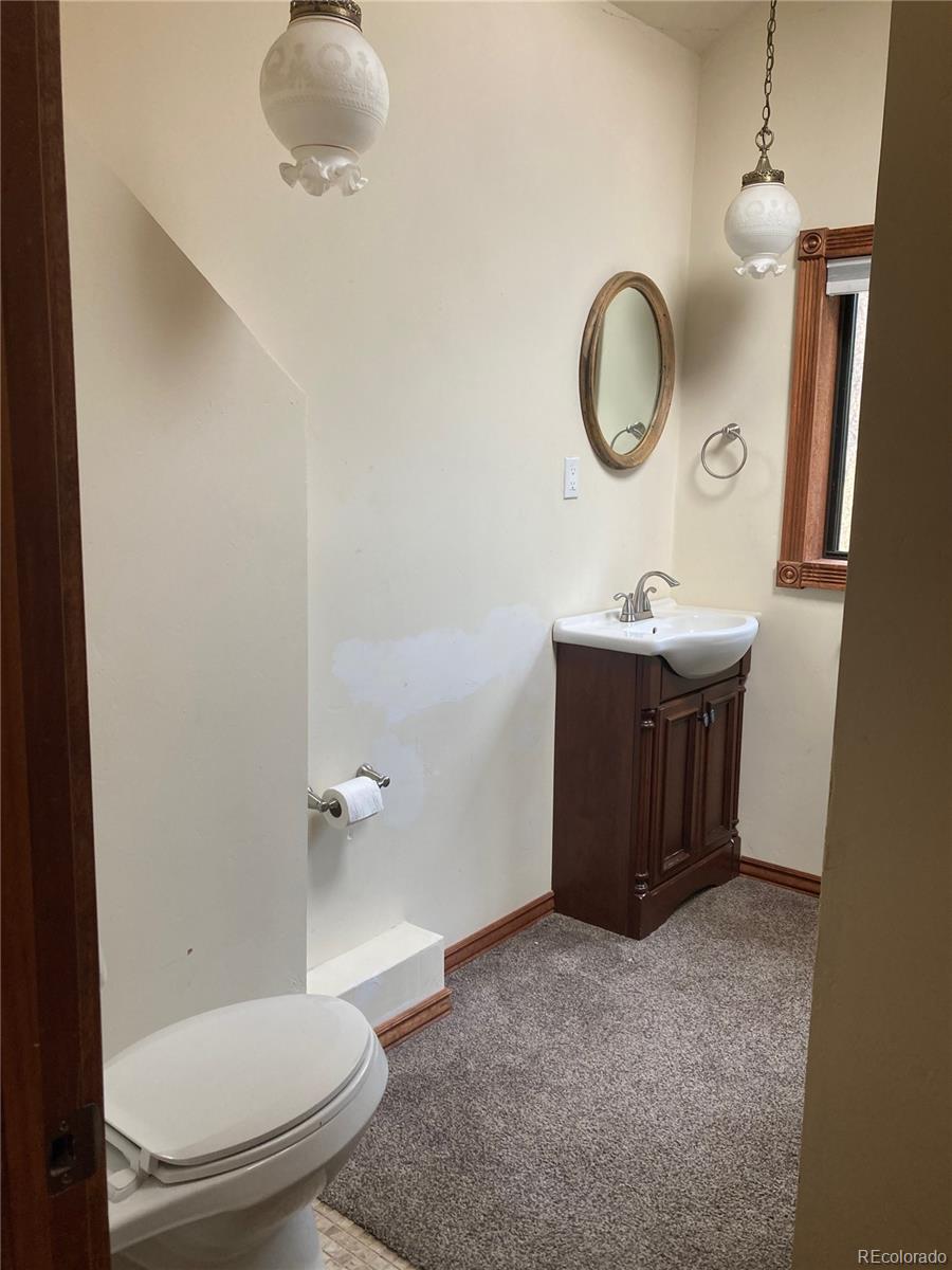 MLS Image #28 for 137 w dream home drive ,leadville, Colorado