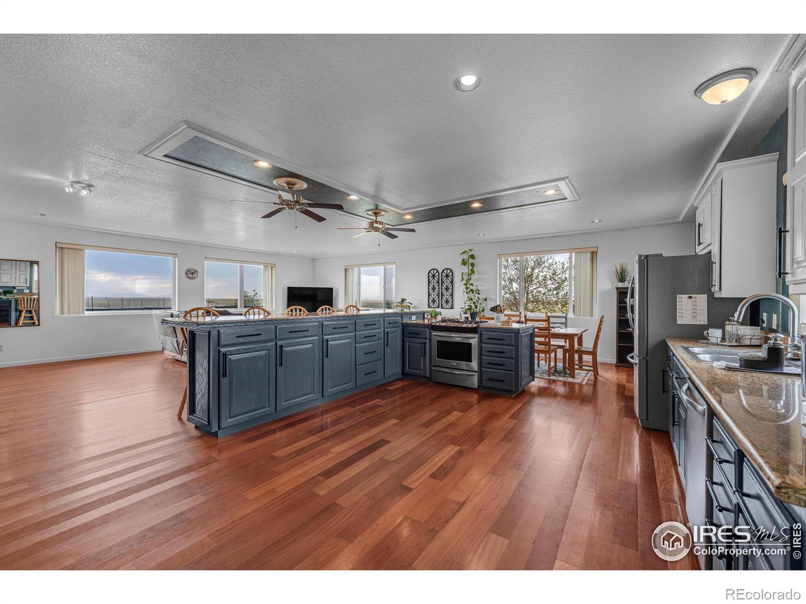 MLS Image #8 for 1154 w fork way,watkins, Colorado