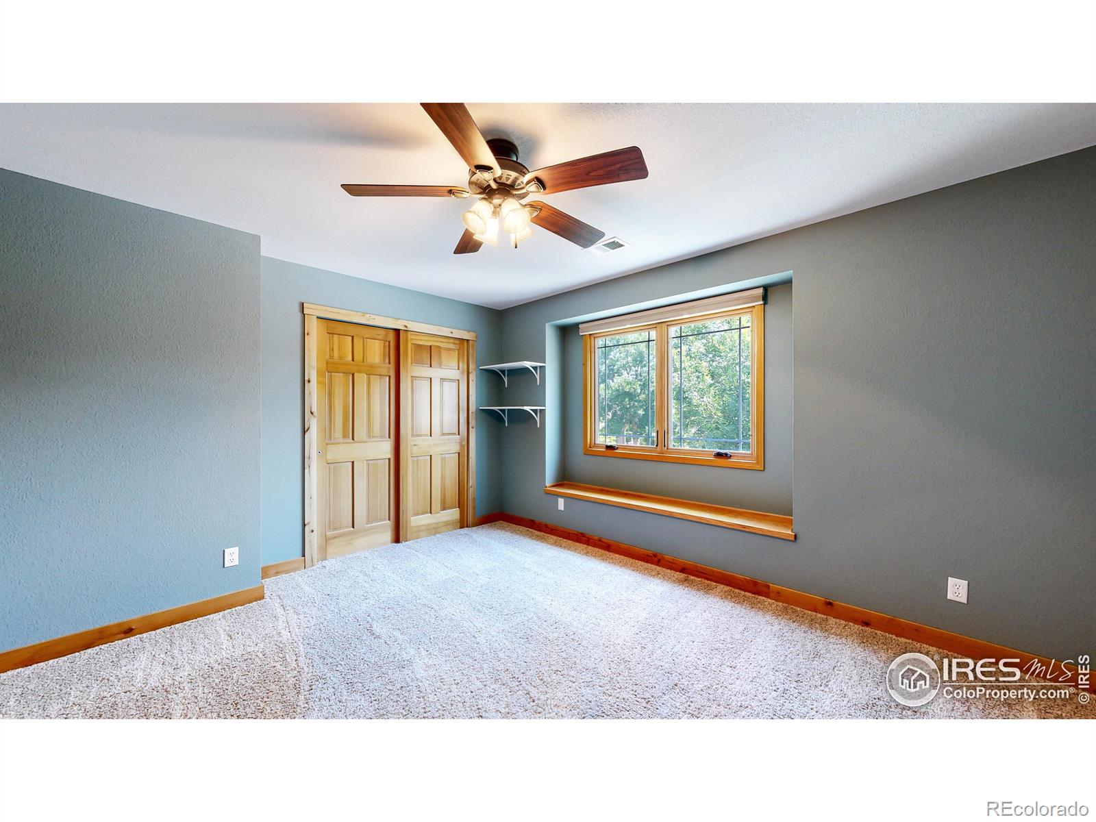 MLS Image #14 for 4907  bluestem court,fort collins, Colorado