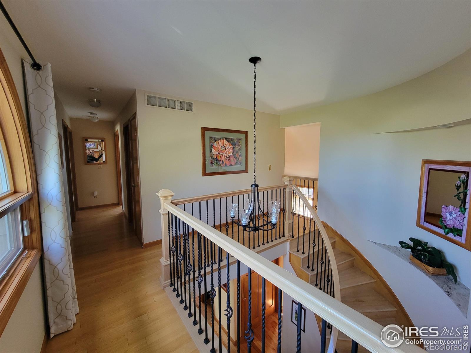 MLS Image #13 for 1831  alma lane,superior, Colorado