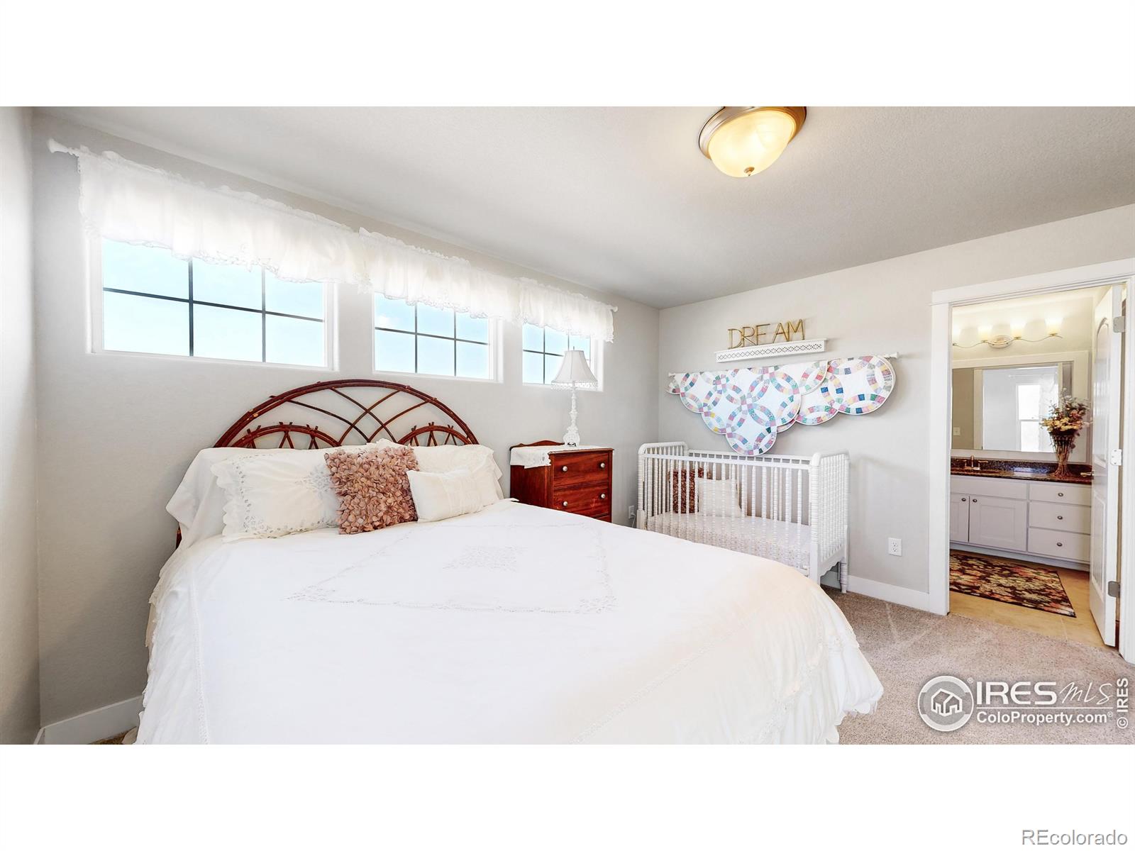 MLS Image #22 for 1069  mt columbia drive,severance, Colorado