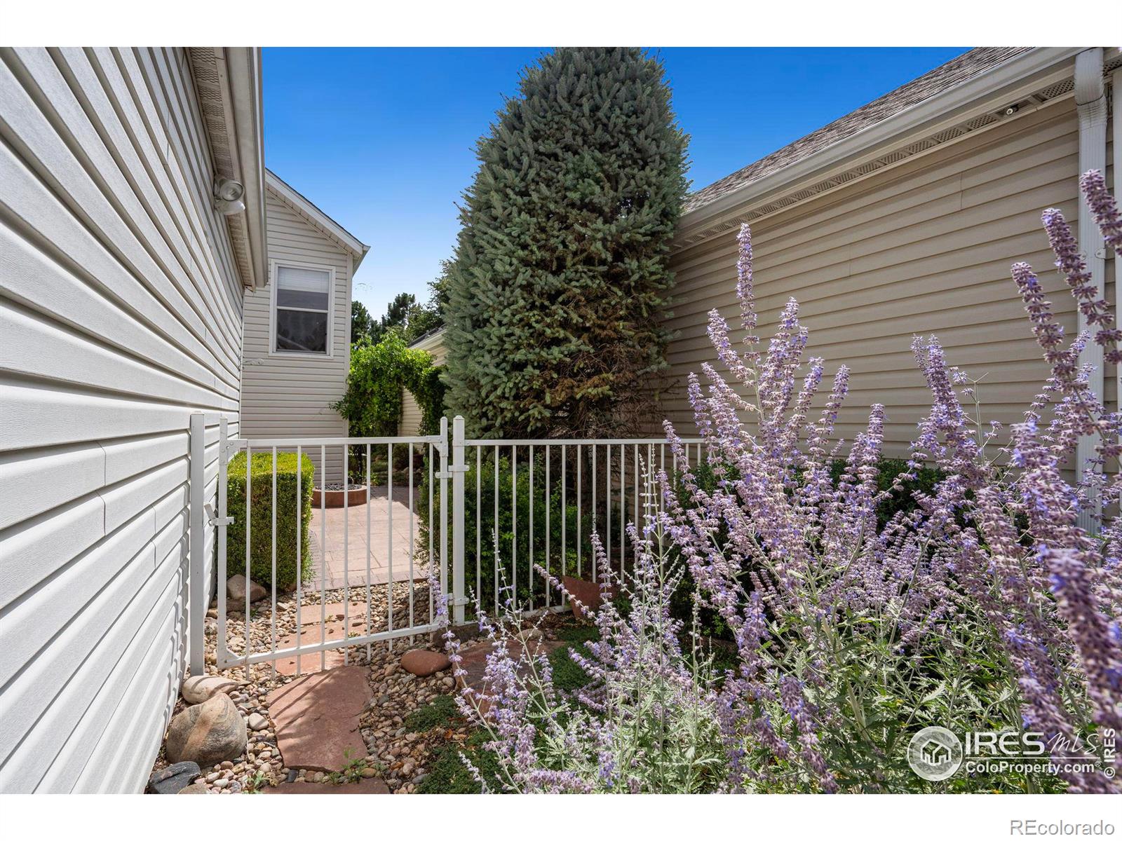 MLS Image #36 for 903  rule drive,fort collins, Colorado