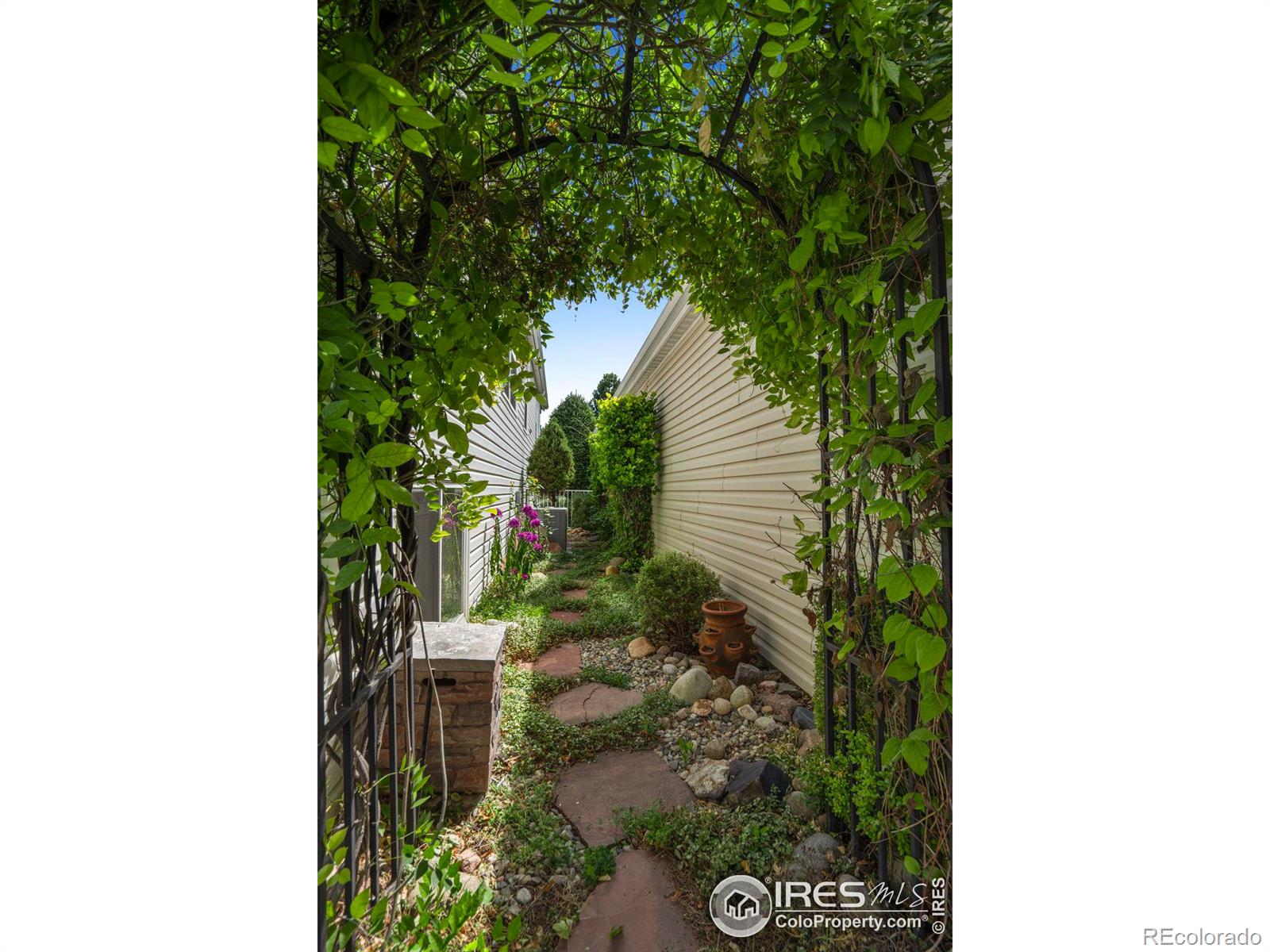 MLS Image #37 for 903  rule drive,fort collins, Colorado