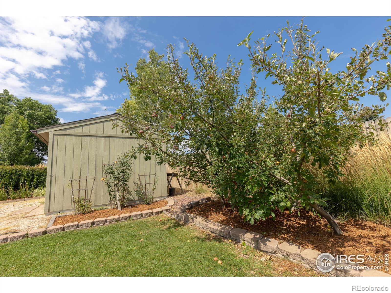 MLS Image #37 for 2629 w 28th street,loveland, Colorado