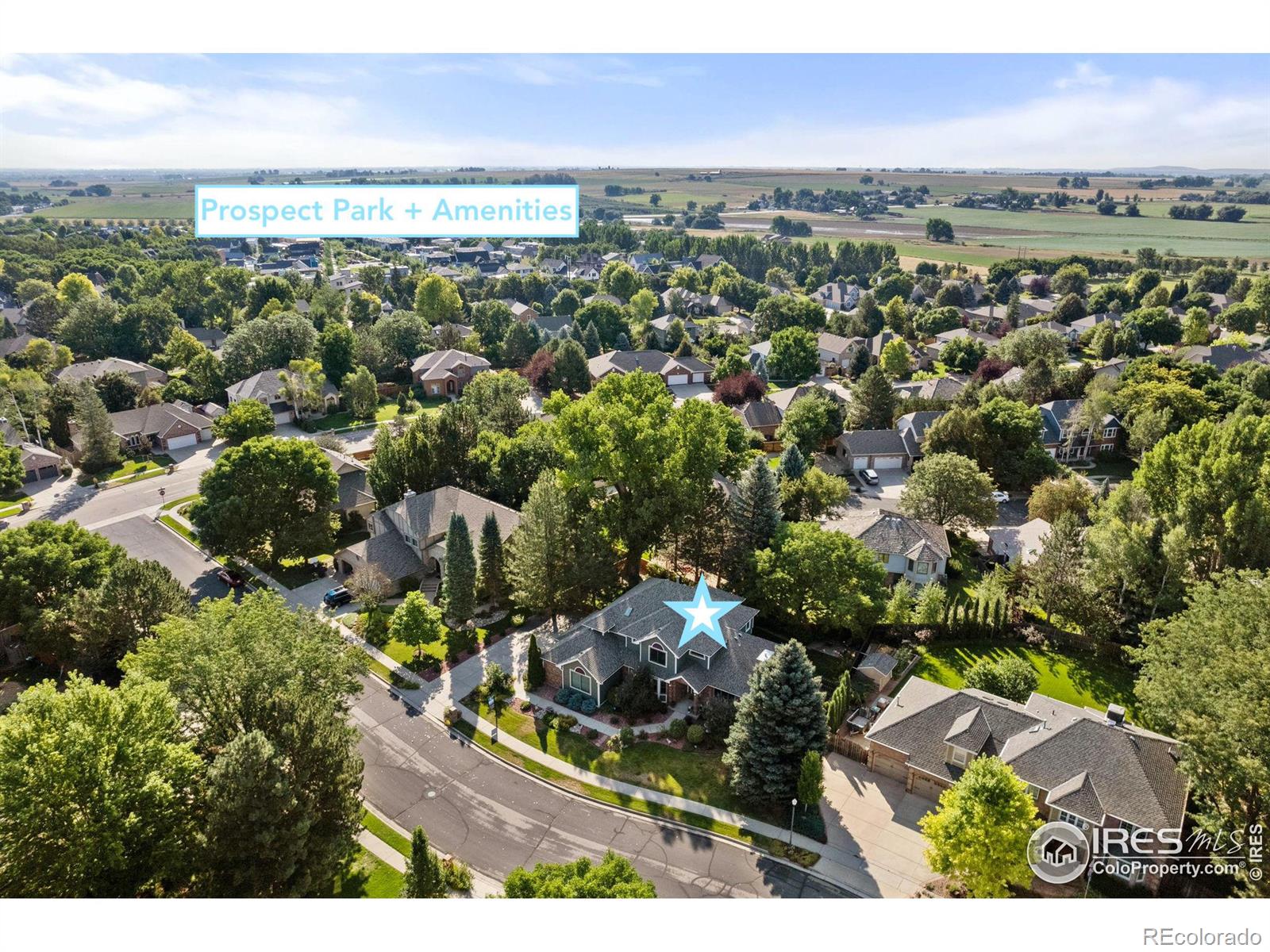 MLS Image #1 for 1321  ruby way,longmont, Colorado