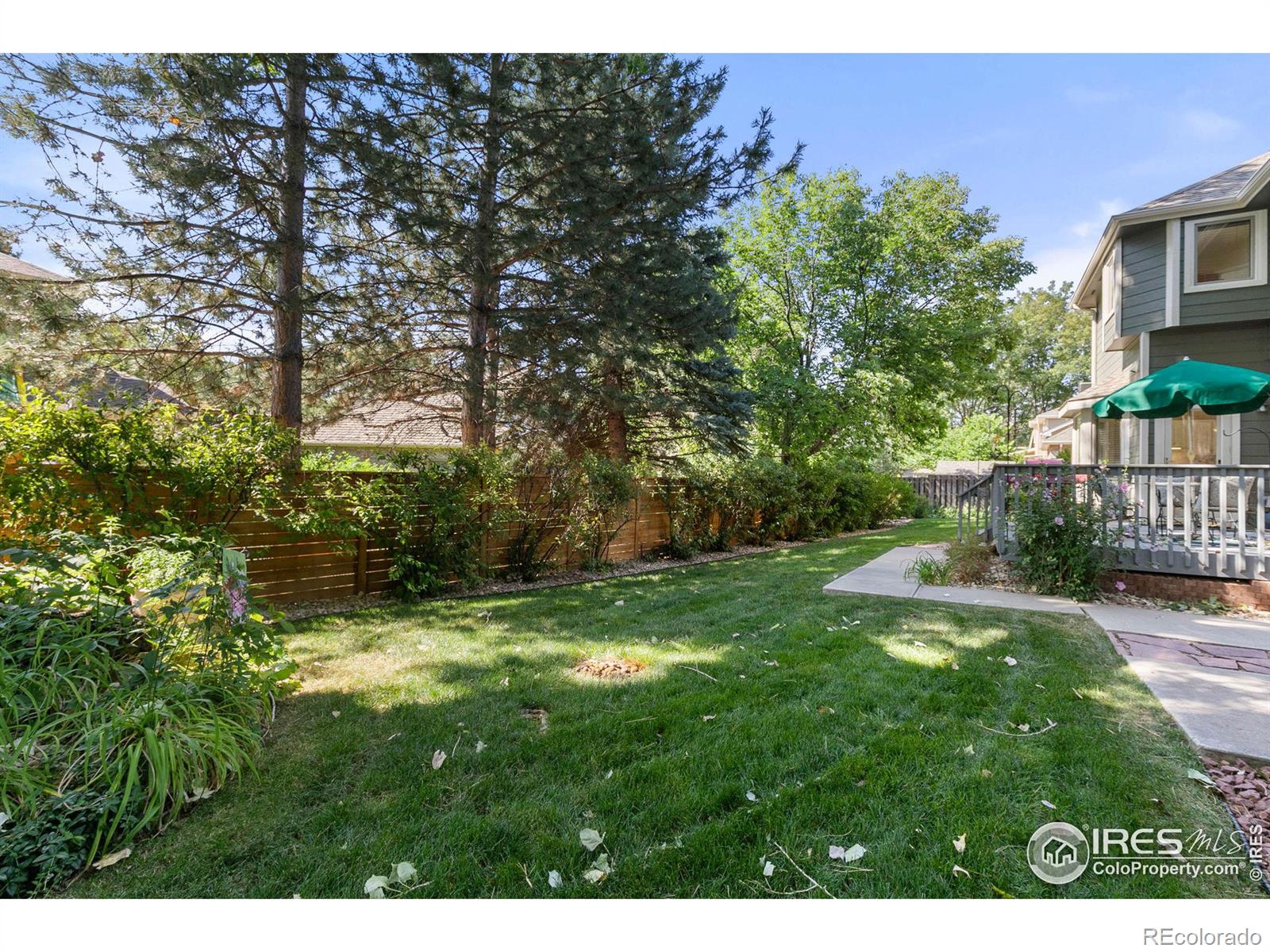 MLS Image #36 for 1321  ruby way,longmont, Colorado