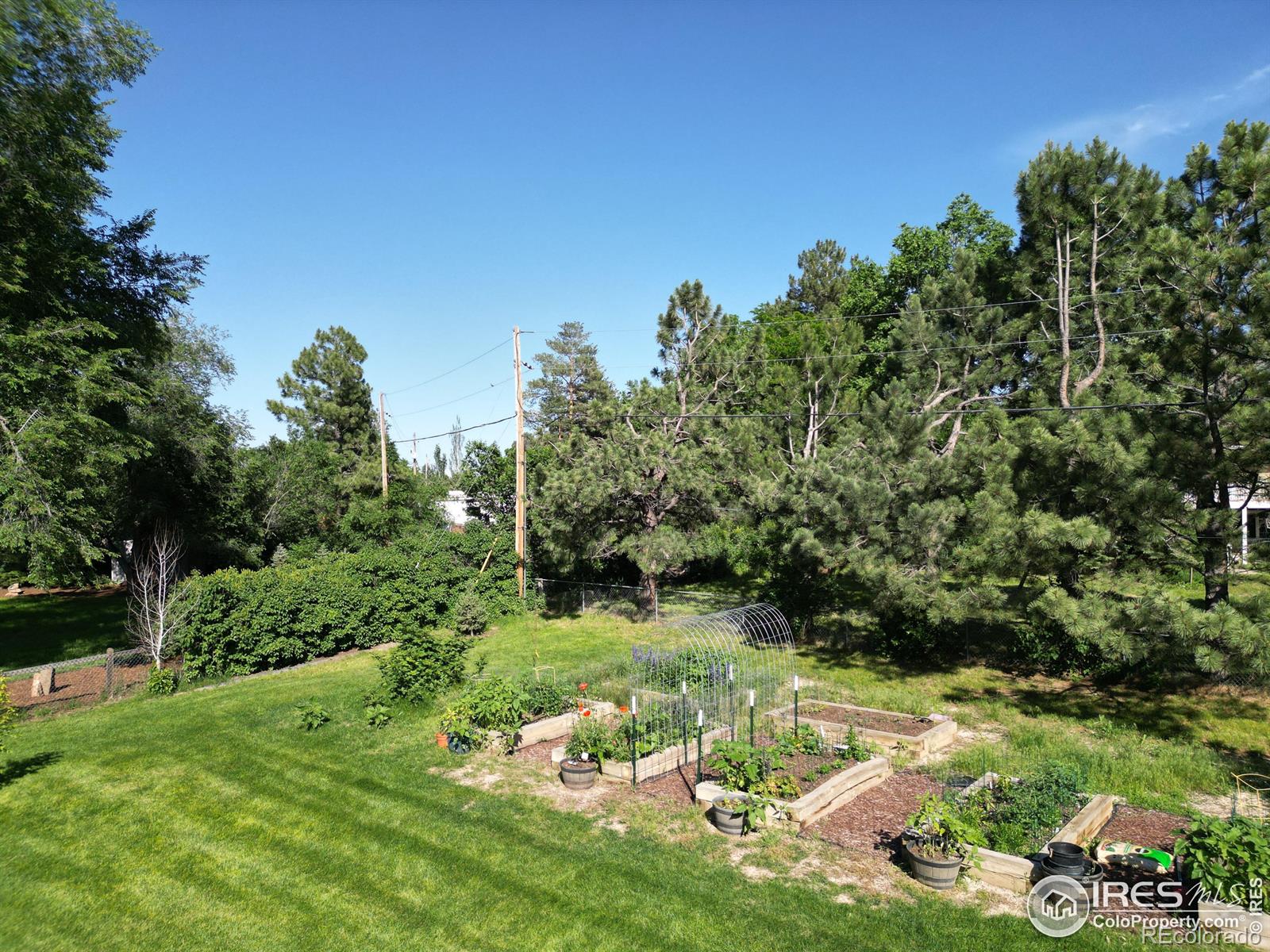 MLS Image #26 for 8858  marathon road,niwot, Colorado