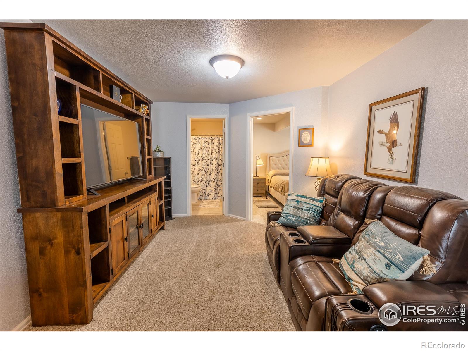 MLS Image #22 for 1332  86th avenue,greeley, Colorado