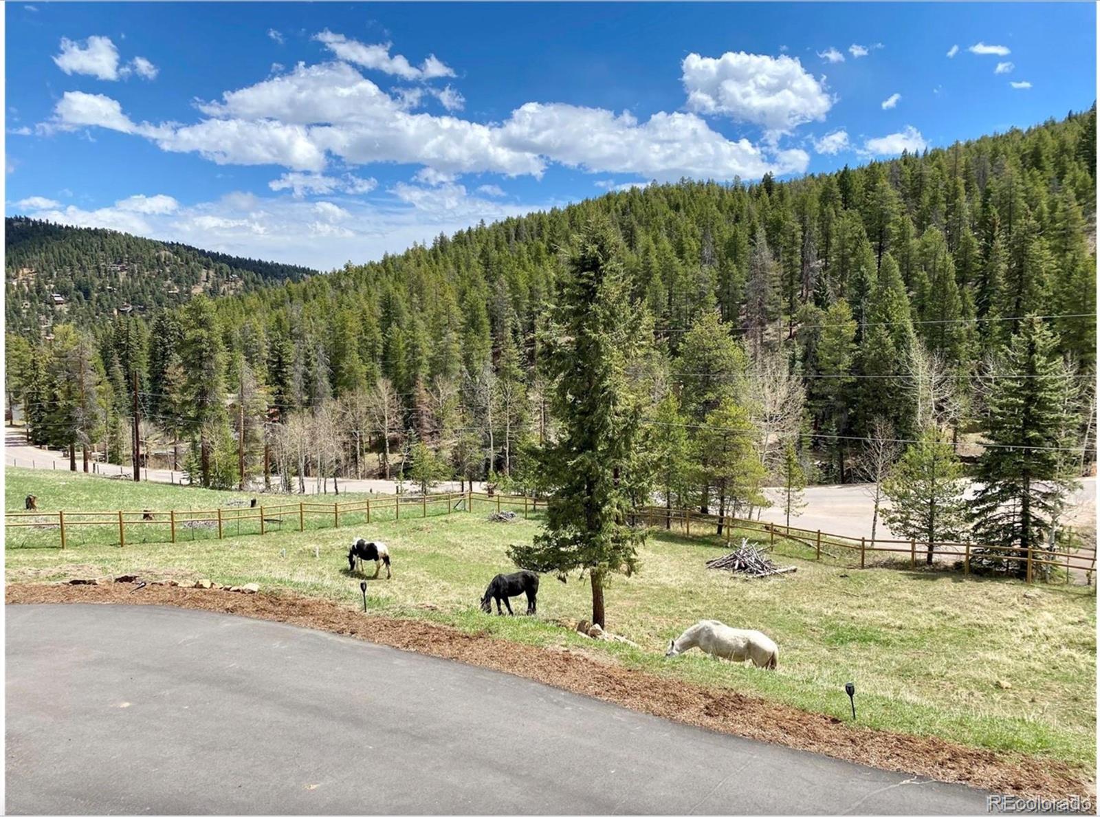 MLS Image #2 for 32625  saint moritz drive,evergreen, Colorado