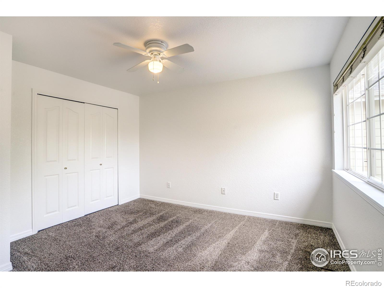 MLS Image #12 for 1020  andrews peak drive,fort collins, Colorado