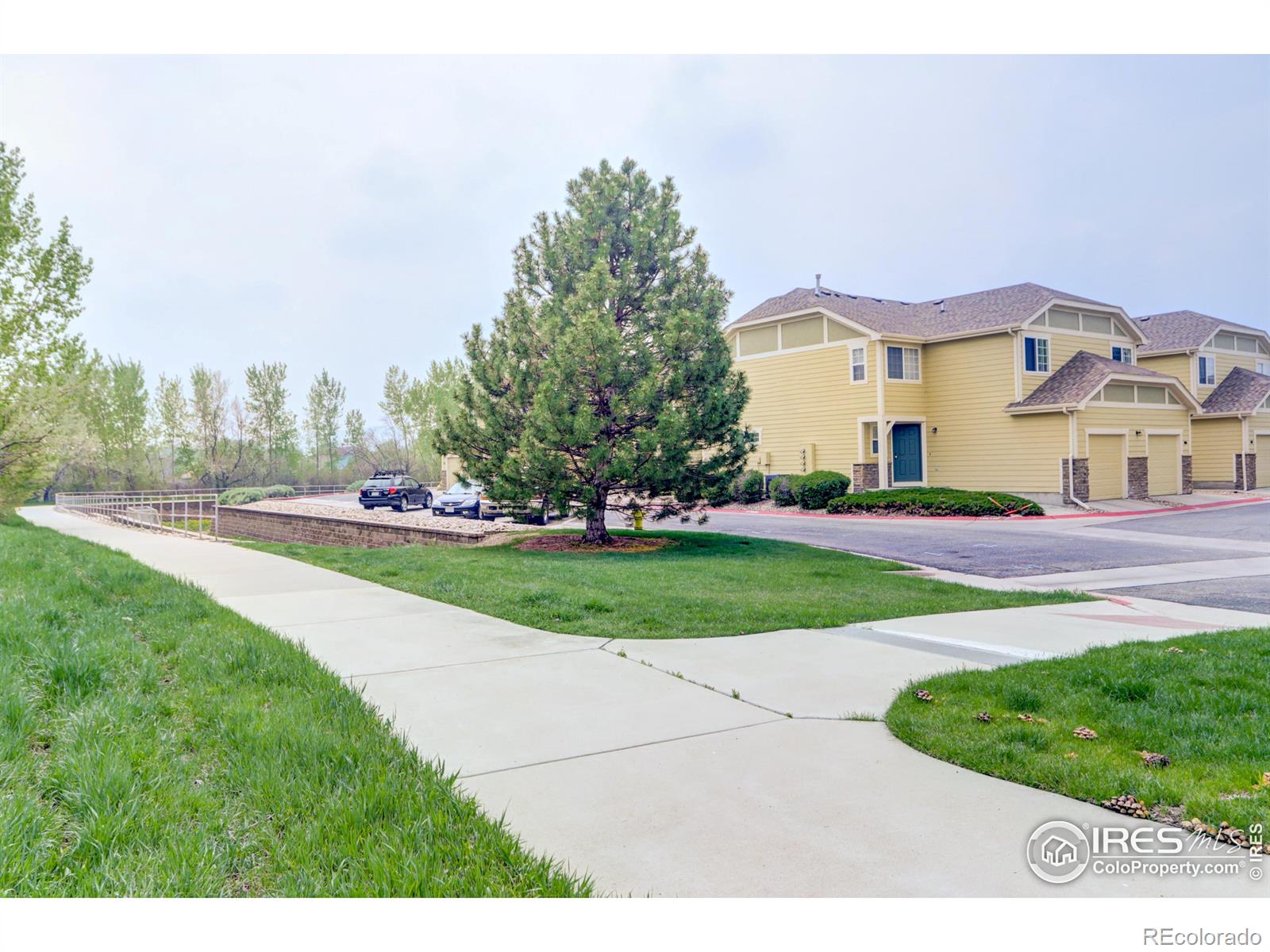 MLS Image #24 for 1020  andrews peak drive,fort collins, Colorado