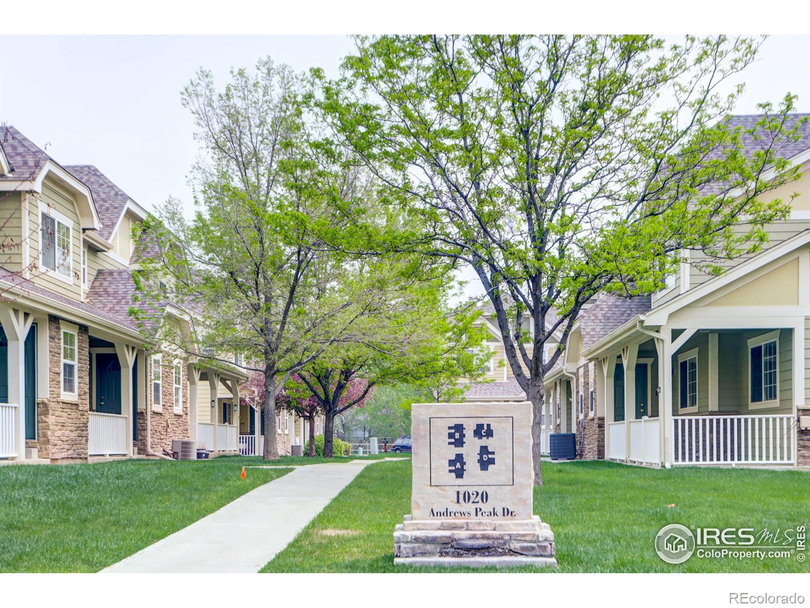 MLS Image #25 for 1020  andrews peak drive,fort collins, Colorado