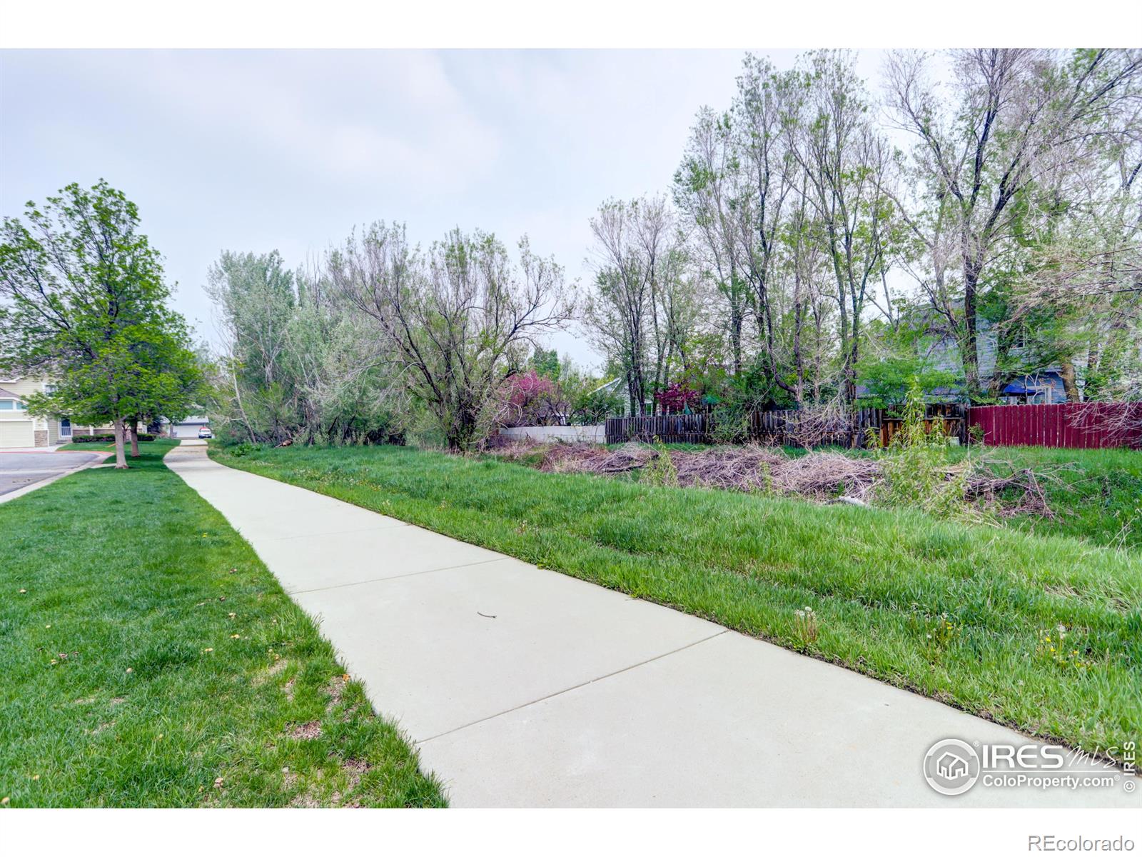 MLS Image #26 for 1020  andrews peak drive,fort collins, Colorado