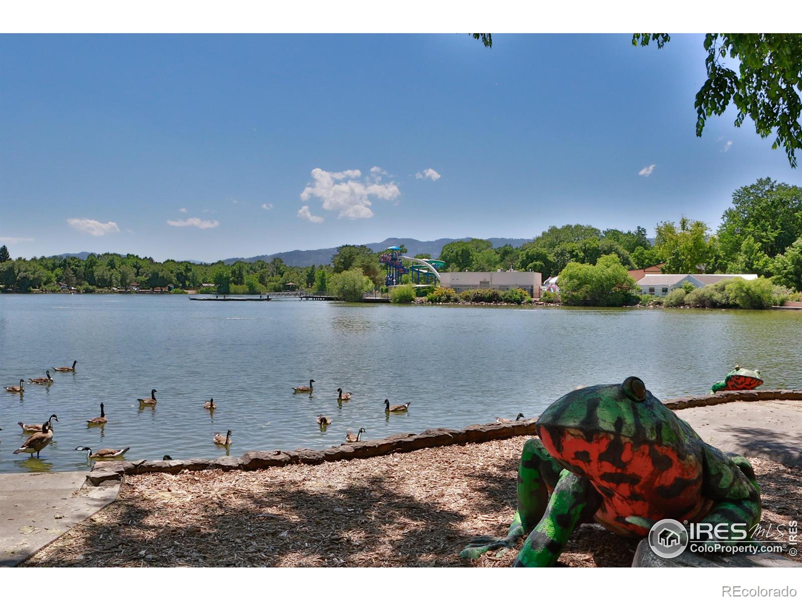 MLS Image #28 for 1020  andrews peak drive,fort collins, Colorado