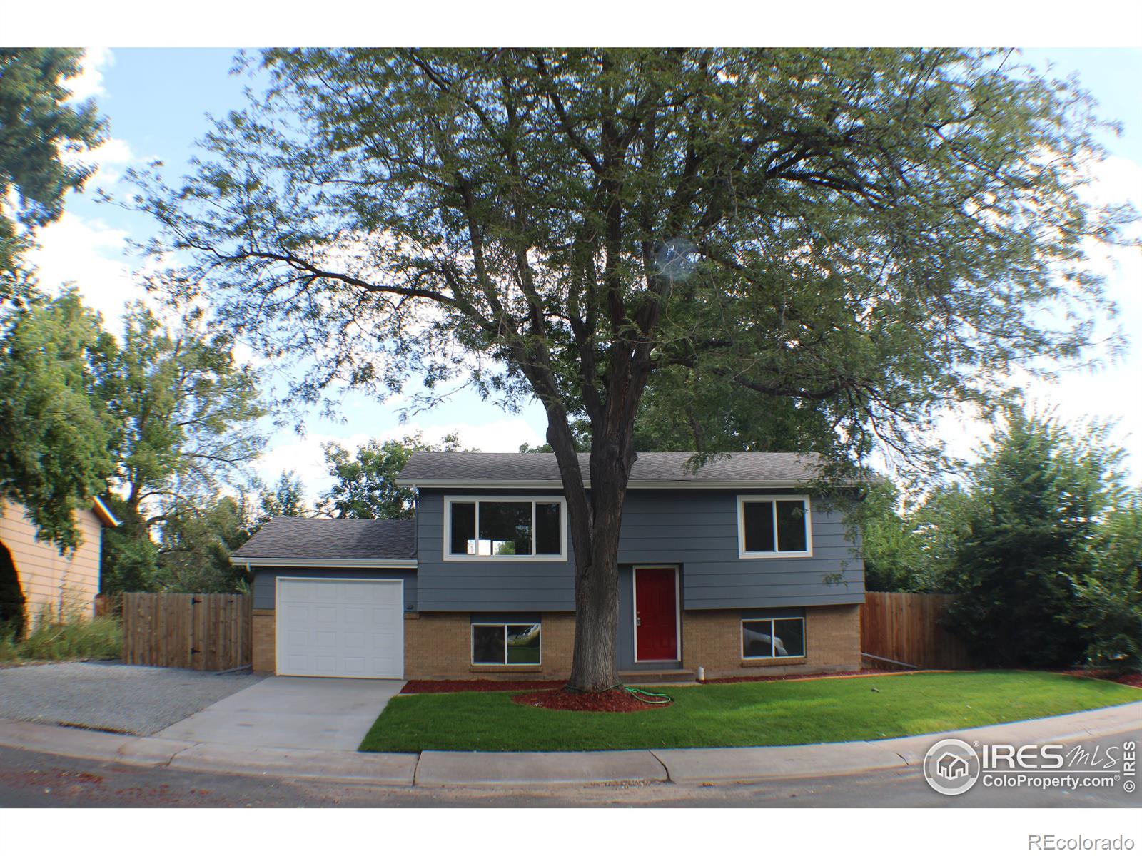 MLS Image #0 for 531  10th street,windsor, Colorado