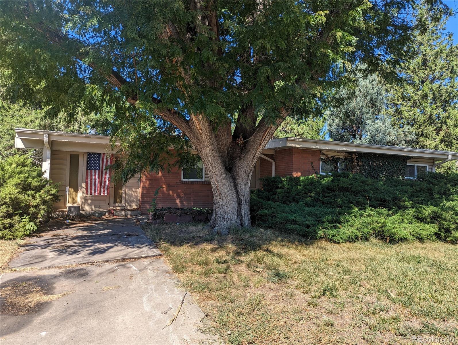 MLS Image #0 for 6001  carr street,arvada, Colorado