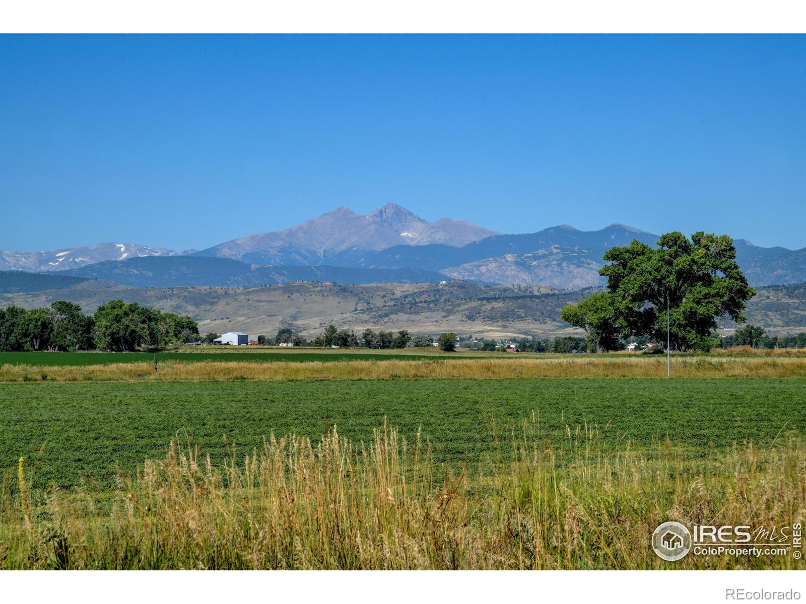 MLS Image #32 for 1344  eliza avenue,berthoud, Colorado