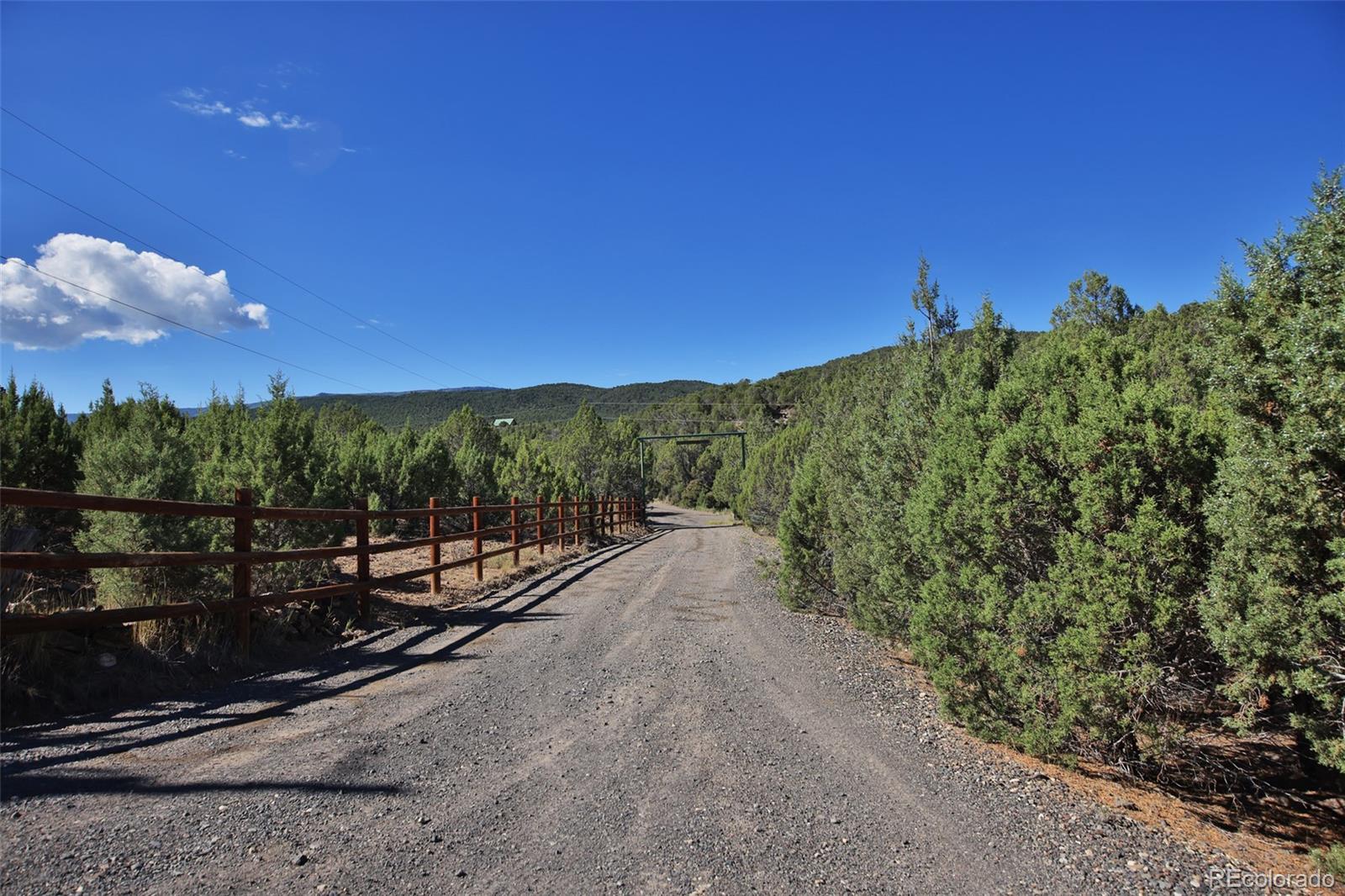 MLS Image #34 for 11356  46 6/10 road,mesa, Colorado