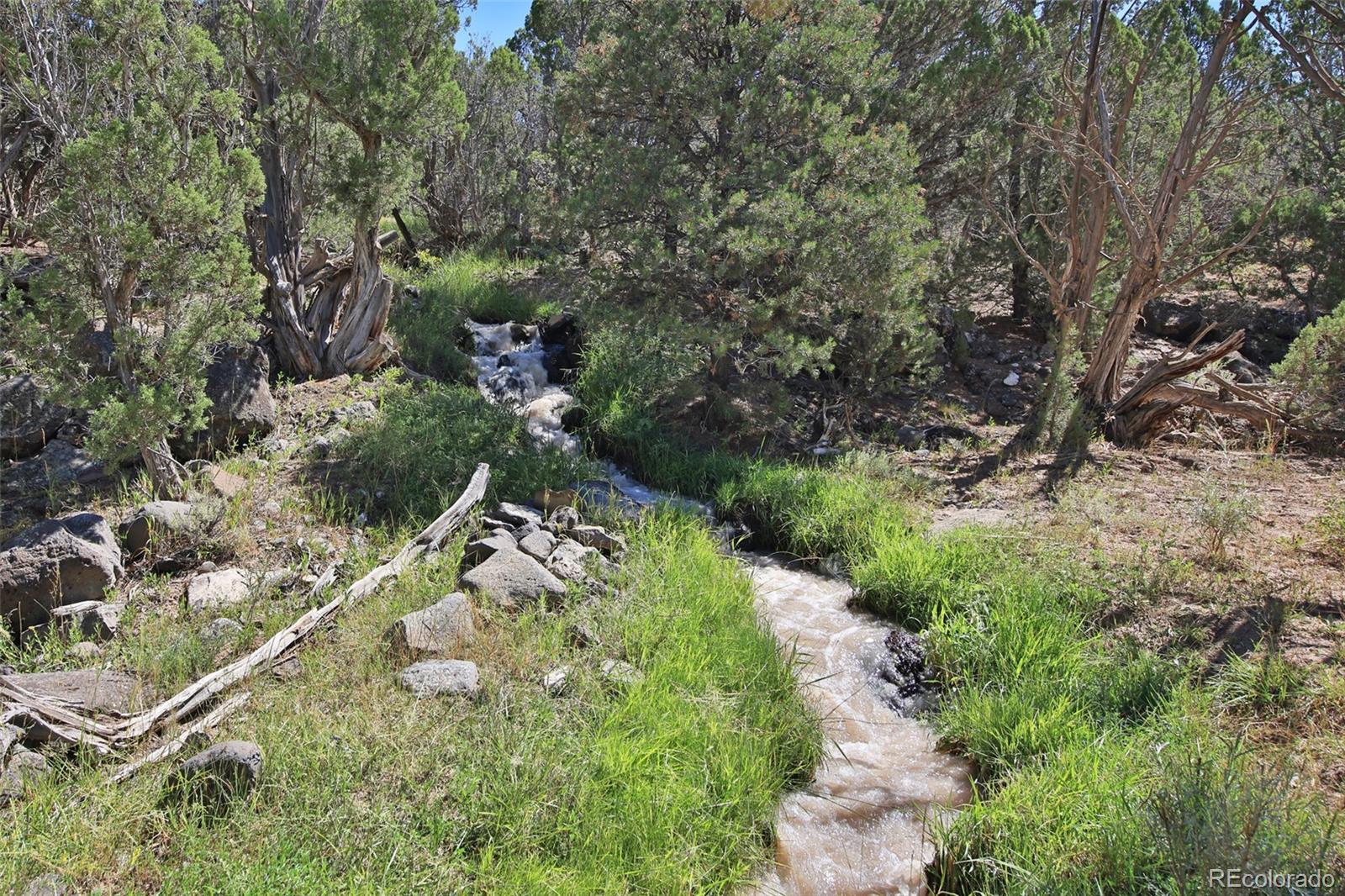 MLS Image #8 for 11356  46 6/10 road,mesa, Colorado