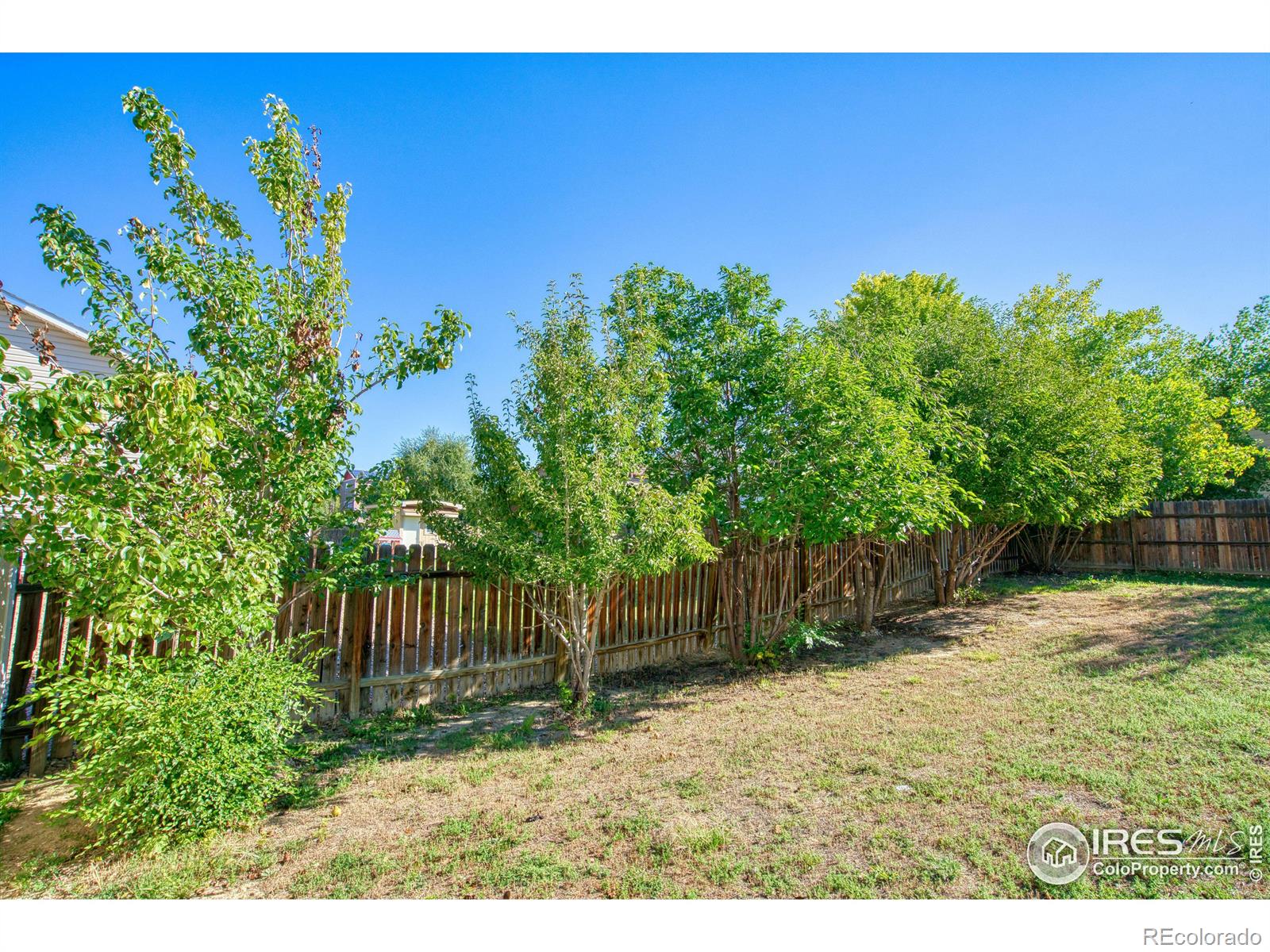 MLS Image #20 for 3310  cody avenue,evans, Colorado