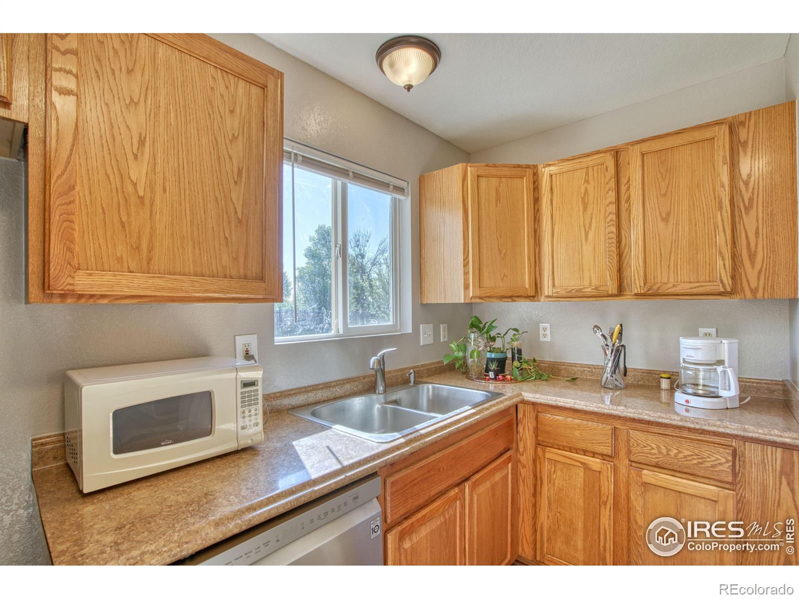 MLS Image #5 for 3310  cody avenue,evans, Colorado