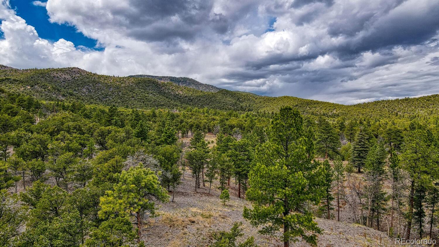 MLS Image #17 for 529  scenic lane,howard, Colorado