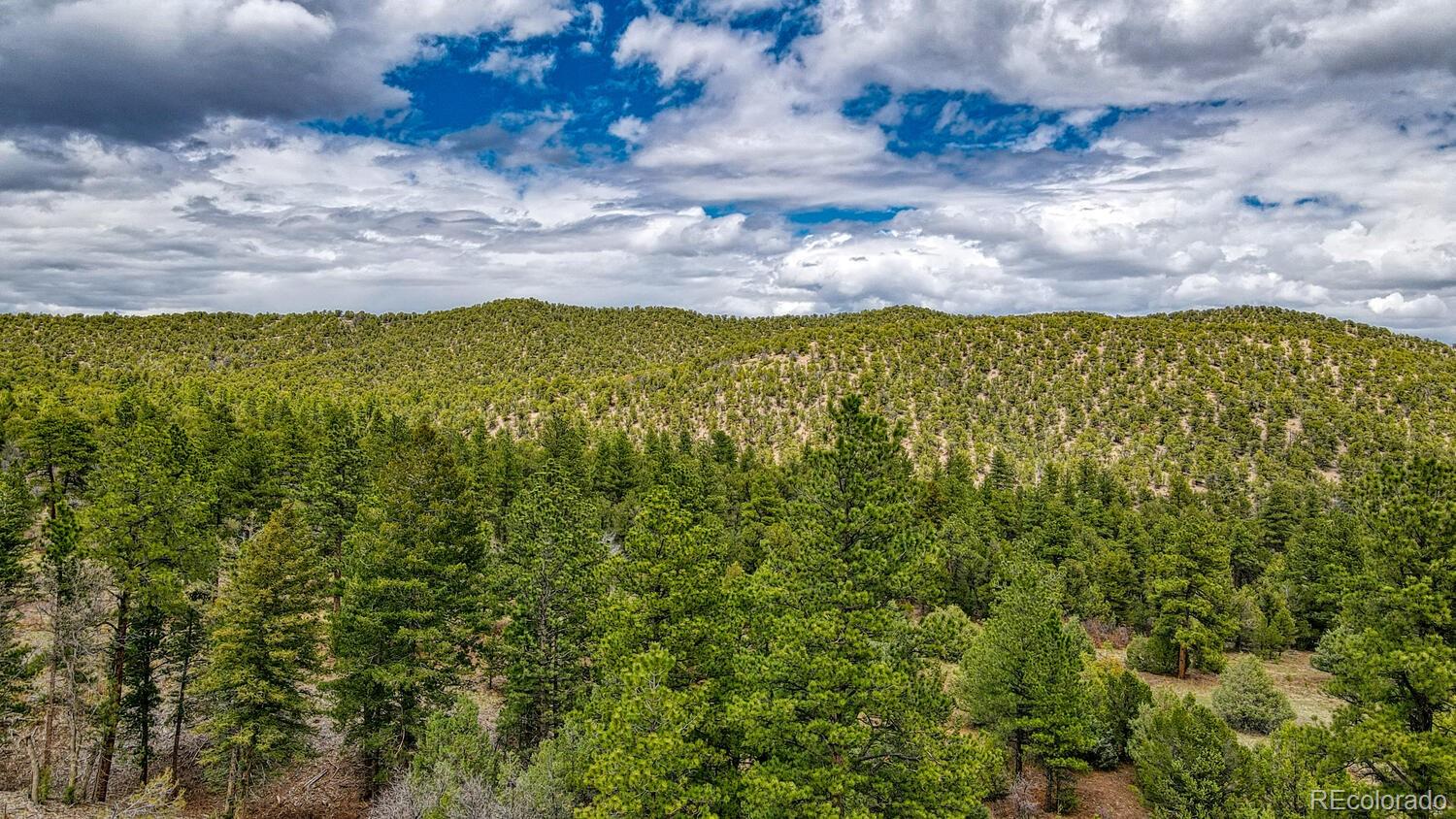 MLS Image #18 for 529  scenic lane,howard, Colorado