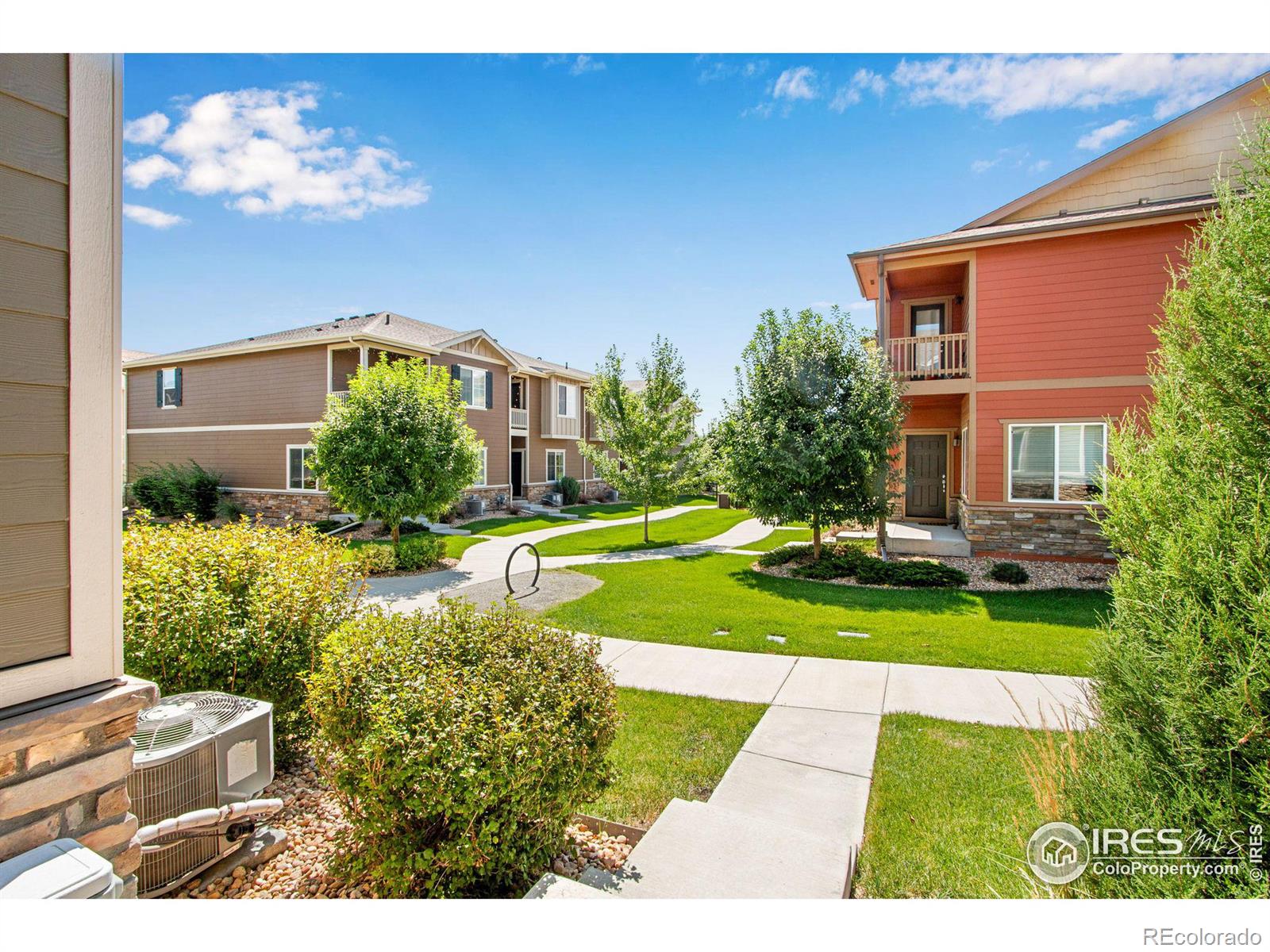 MLS Image #3 for 1474  sepia avenue,longmont, Colorado