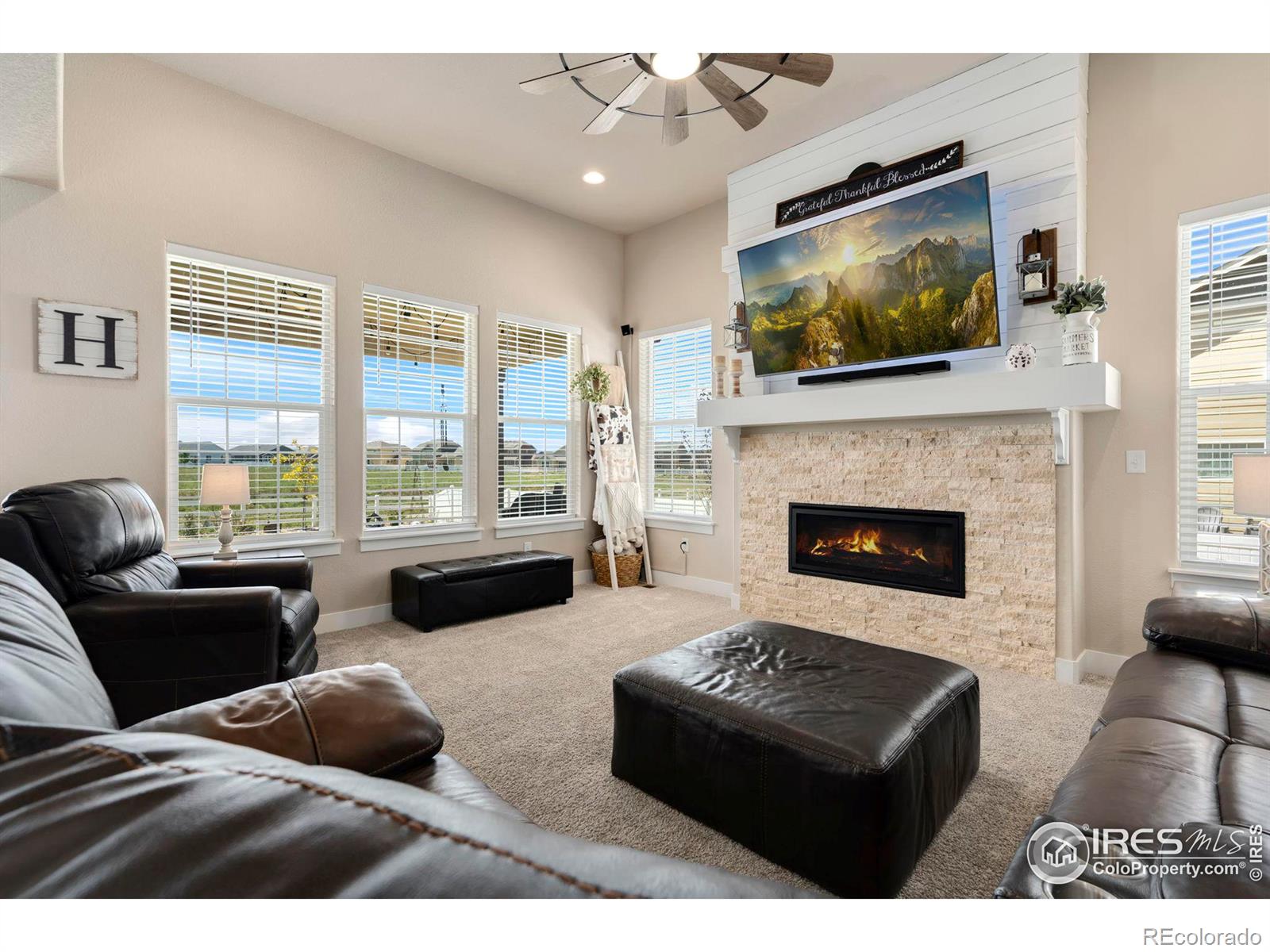 MLS Image #10 for 1607  lake vista lane,severance, Colorado