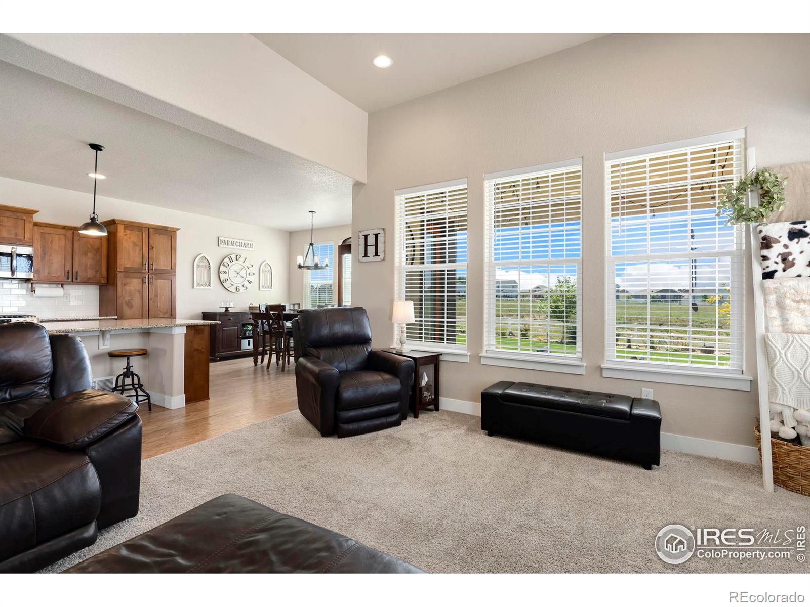 MLS Image #9 for 1607  lake vista lane,severance, Colorado