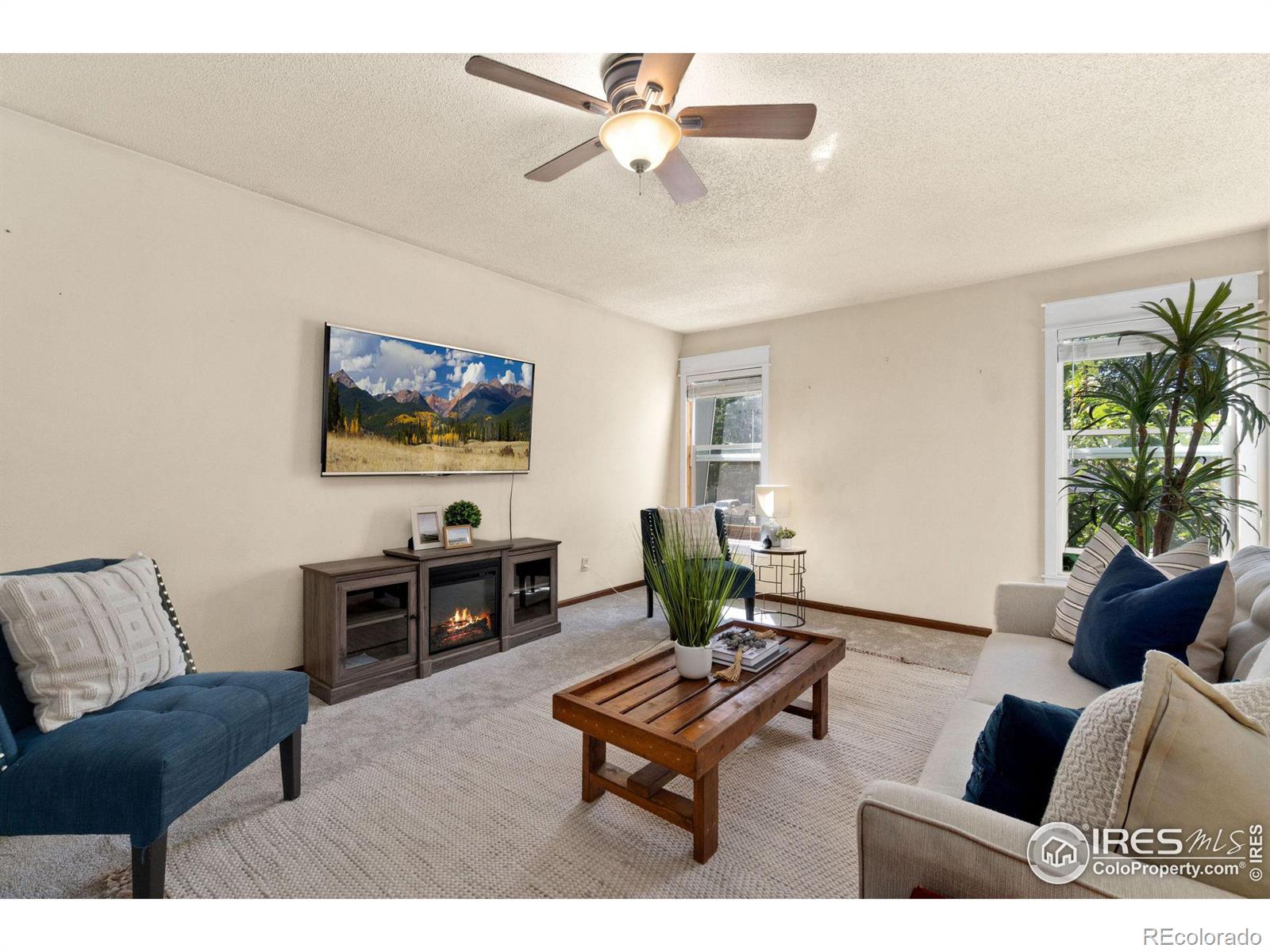 MLS Image #13 for 545 e 11th street,loveland, Colorado