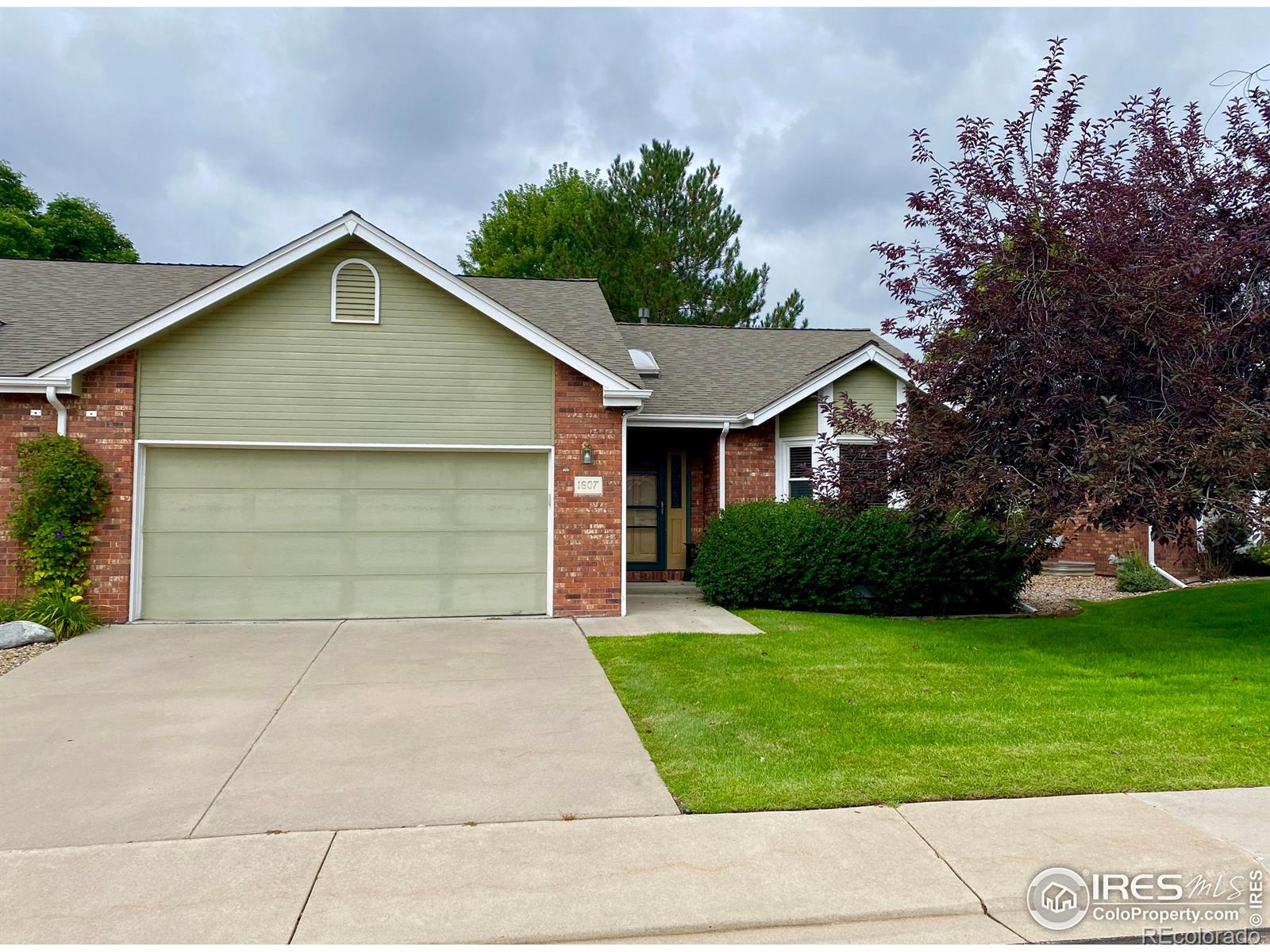 MLS Image #0 for 1607  tulip court,longmont, Colorado