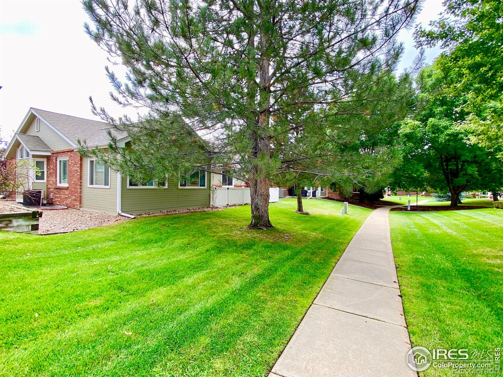 MLS Image #27 for 1607  tulip court,longmont, Colorado