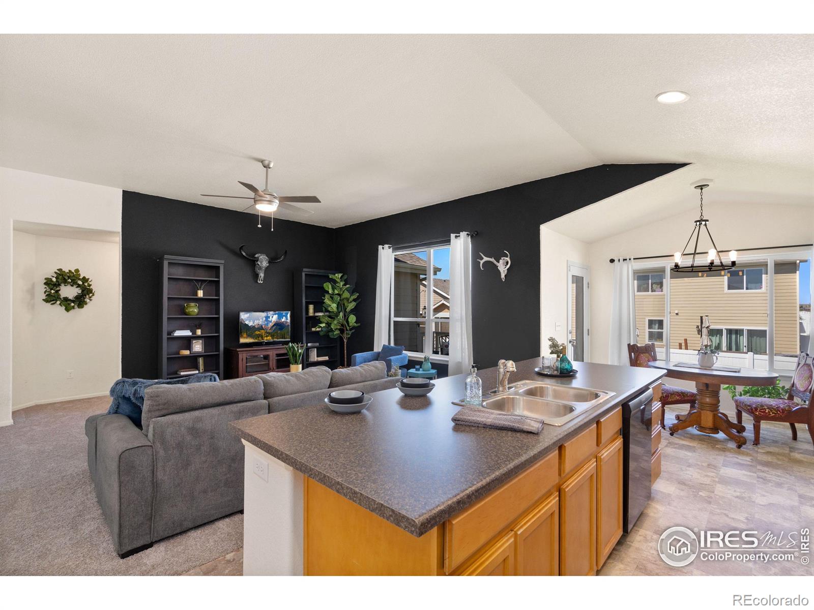 MLS Image #7 for 972  mouflon drive,severance, Colorado