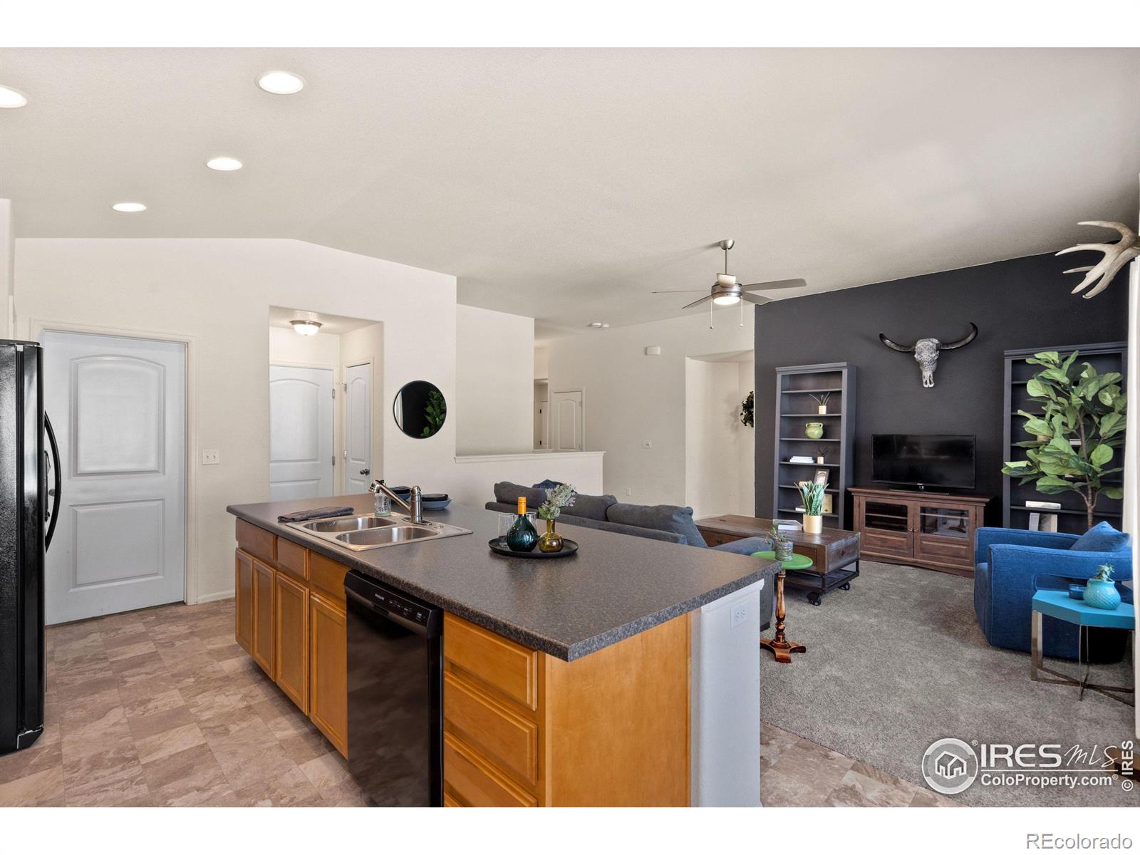 MLS Image #8 for 972  mouflon drive,severance, Colorado