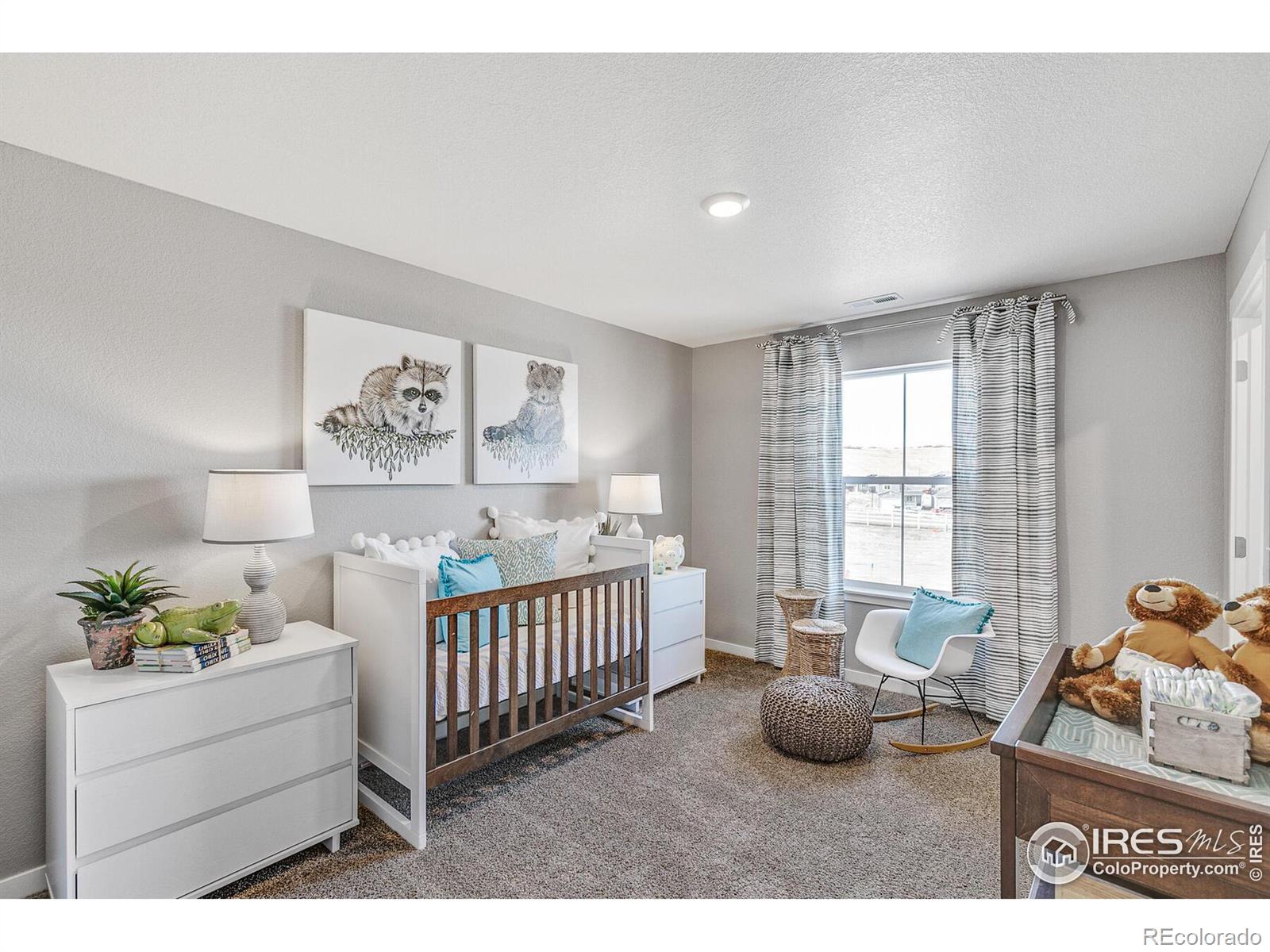 MLS Image #27 for 624  sawyers pond drive,severance, Colorado