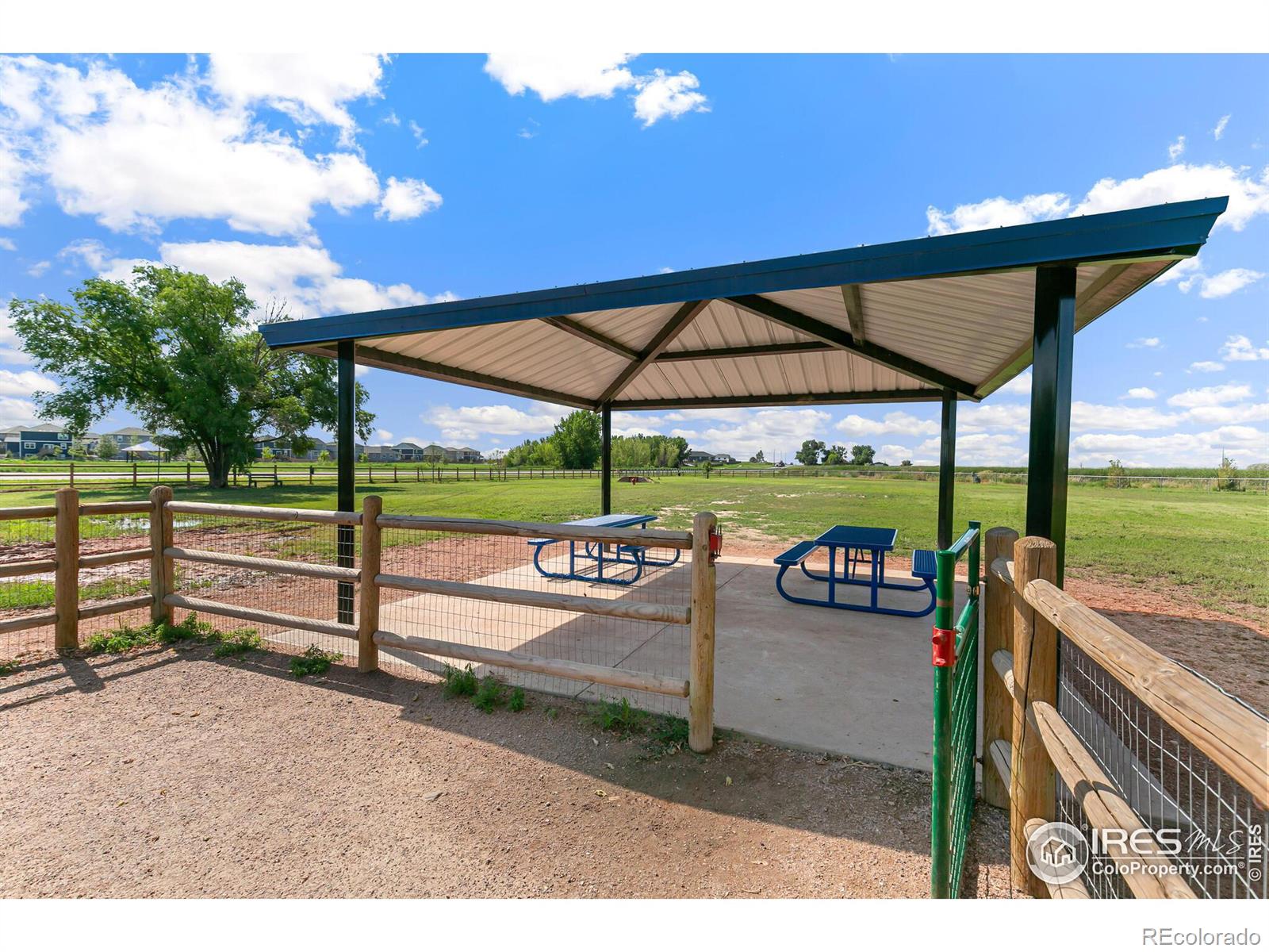 MLS Image #37 for 624  sawyers pond drive,severance, Colorado