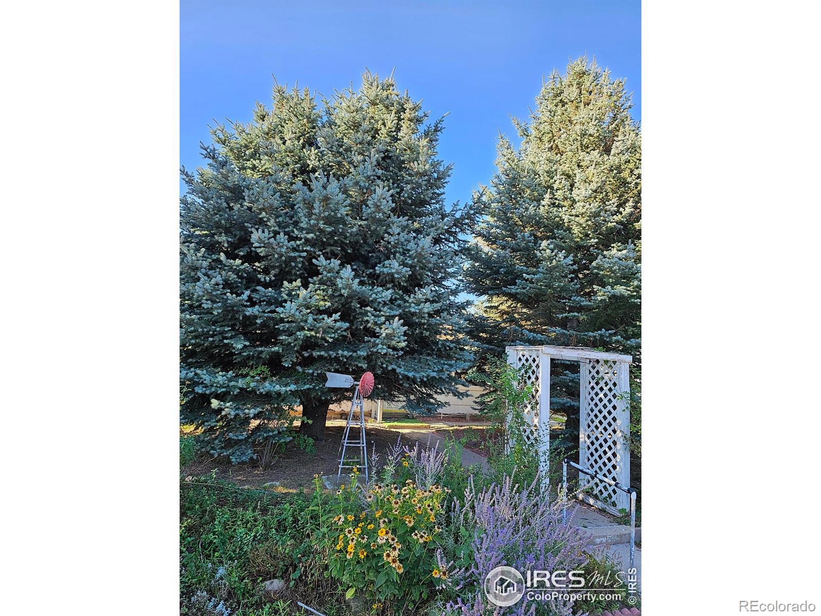 MLS Image #0 for 1308  eaton street,brush, Colorado