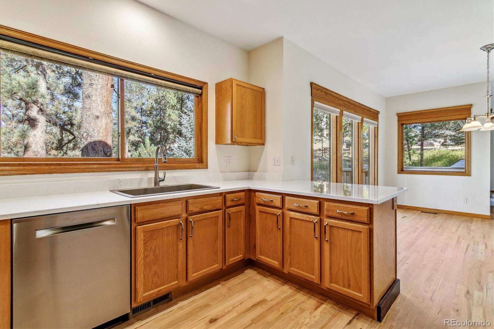 MLS Image #8 for 5017  camel heights road,evergreen, Colorado