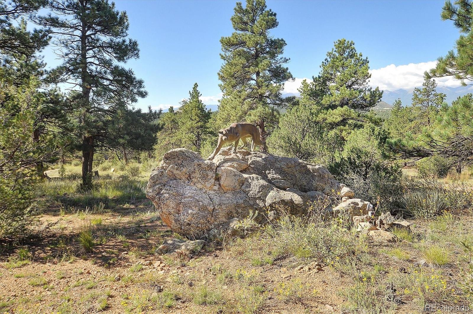 CMA Image for 1600  riggs road,Westcliffe, Colorado