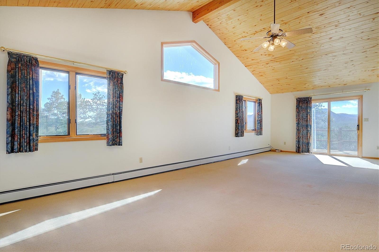 MLS Image #22 for 1600  riggs road,westcliffe, Colorado