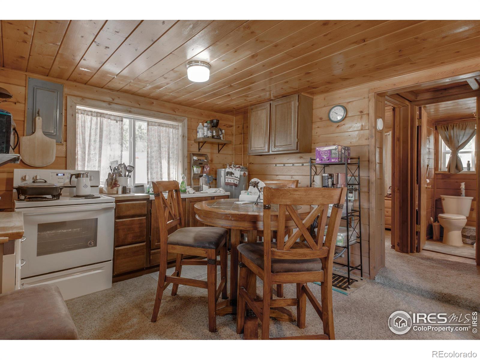 MLS Image #10 for 43  minnehaha street,red feather lakes, Colorado