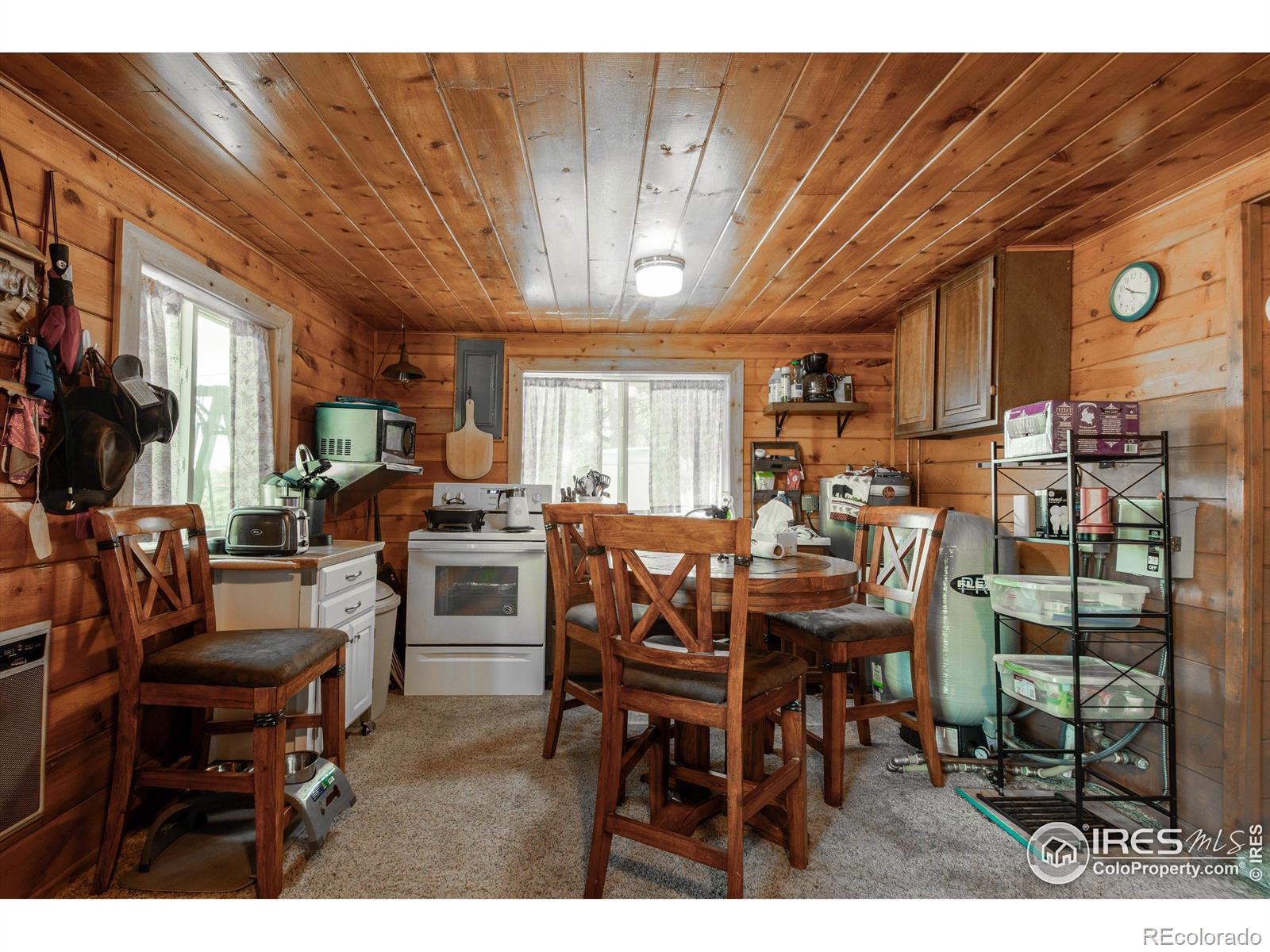 MLS Image #12 for 43  minnehaha street,red feather lakes, Colorado