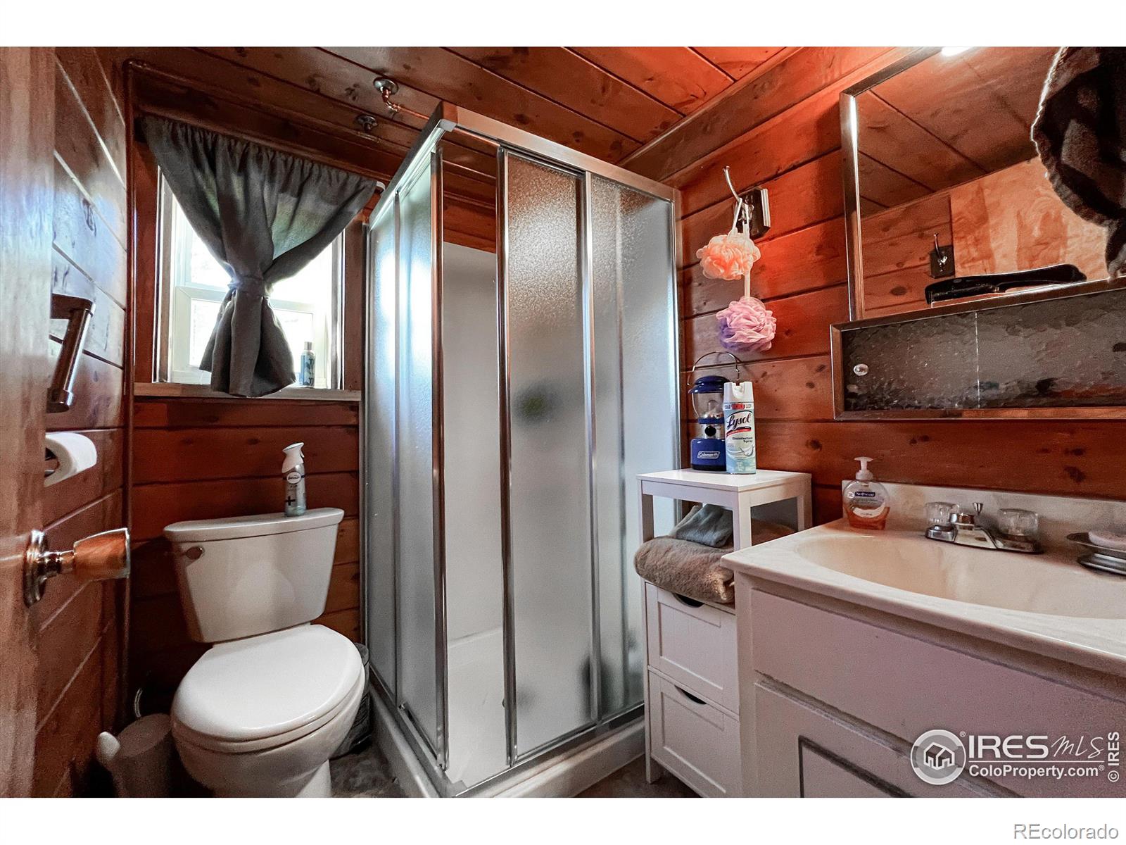 MLS Image #14 for 43  minnehaha street,red feather lakes, Colorado