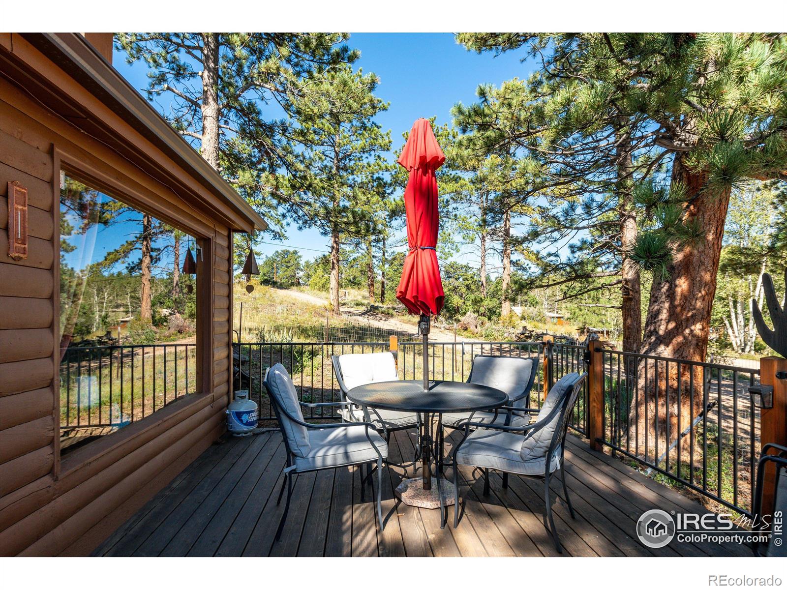 MLS Image #2 for 43  minnehaha street,red feather lakes, Colorado