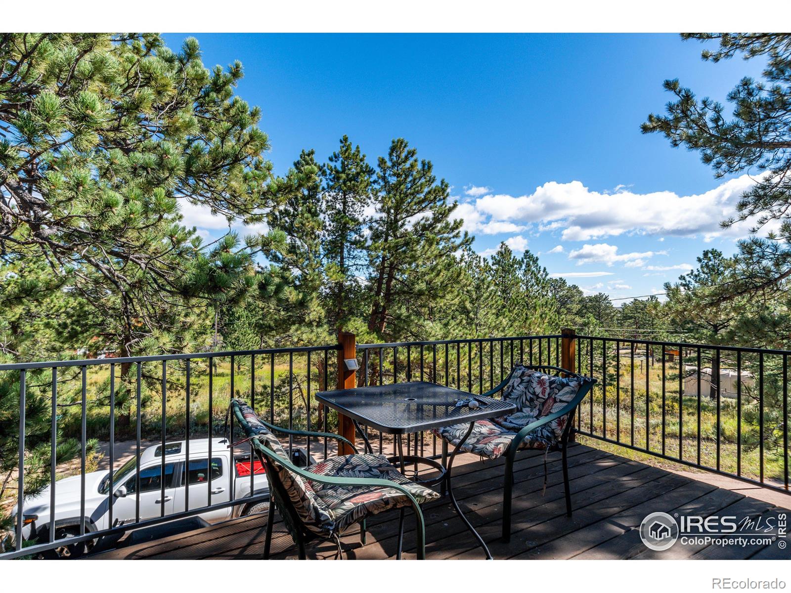 MLS Image #22 for 43  minnehaha street,red feather lakes, Colorado