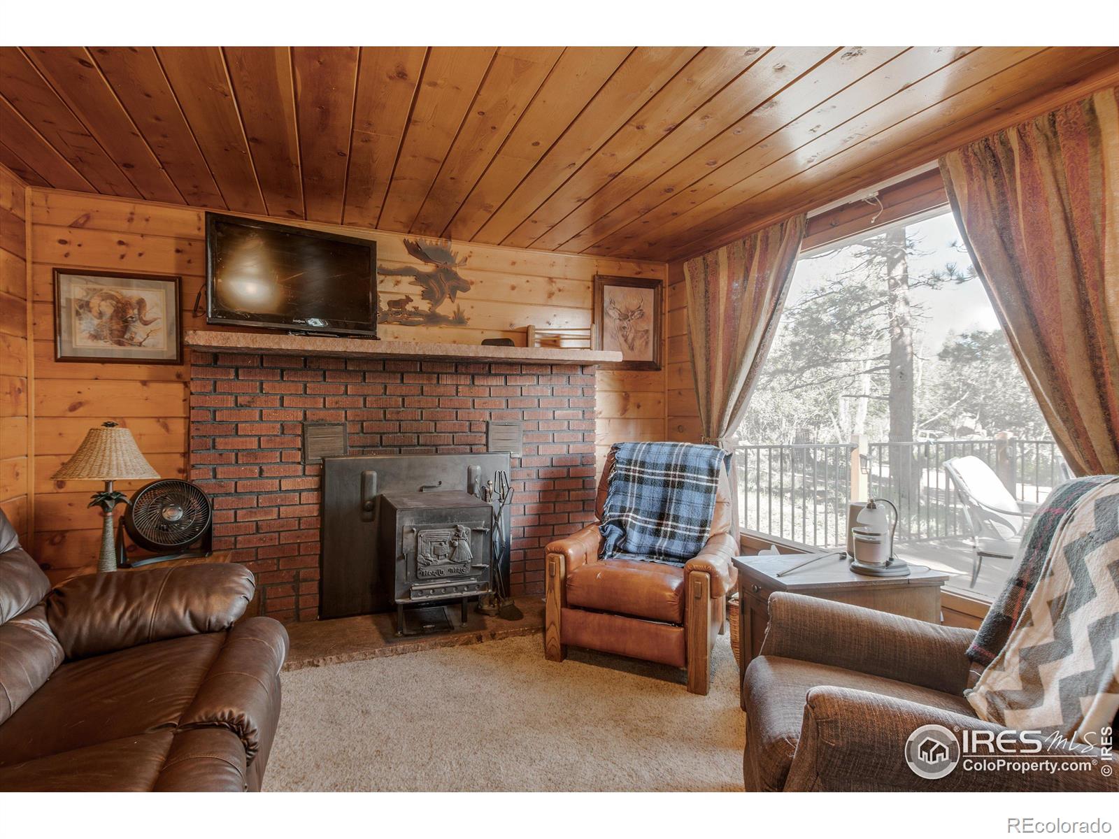 MLS Image #4 for 43  minnehaha street,red feather lakes, Colorado