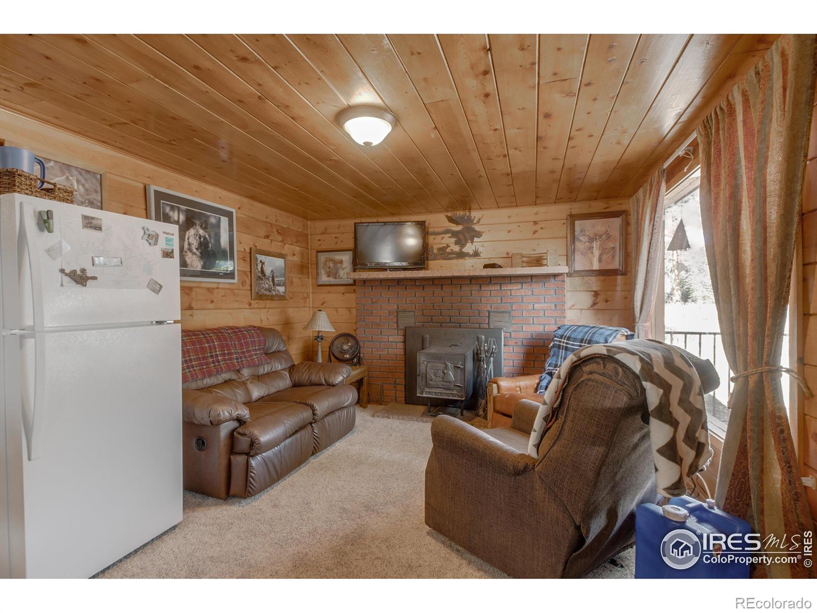 MLS Image #6 for 43  minnehaha street,red feather lakes, Colorado