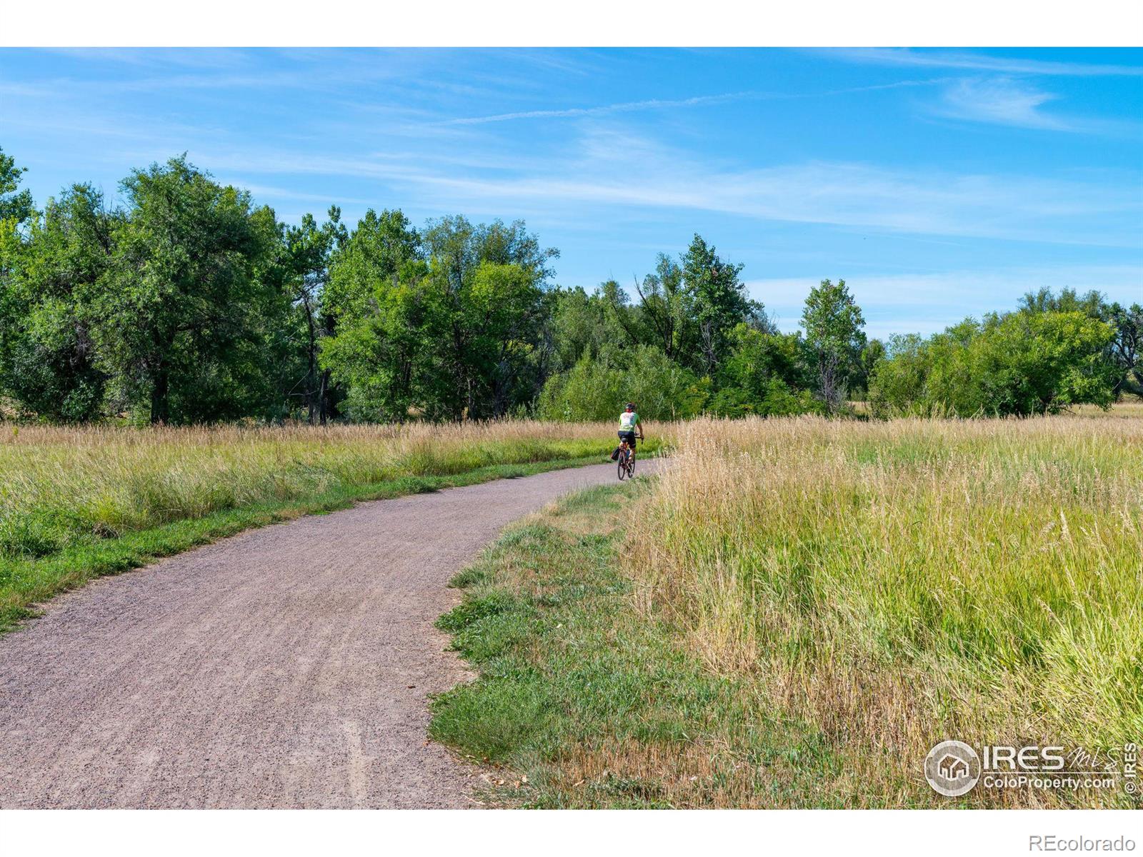 MLS Image #38 for 216 s jefferson avenue,louisville, Colorado