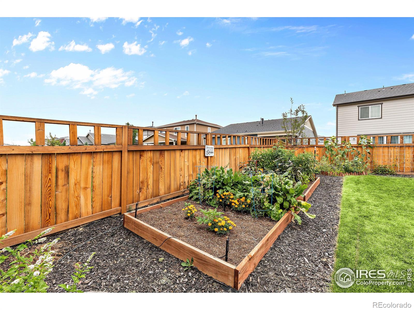 MLS Image #31 for 6116  easton circle,frederick, Colorado